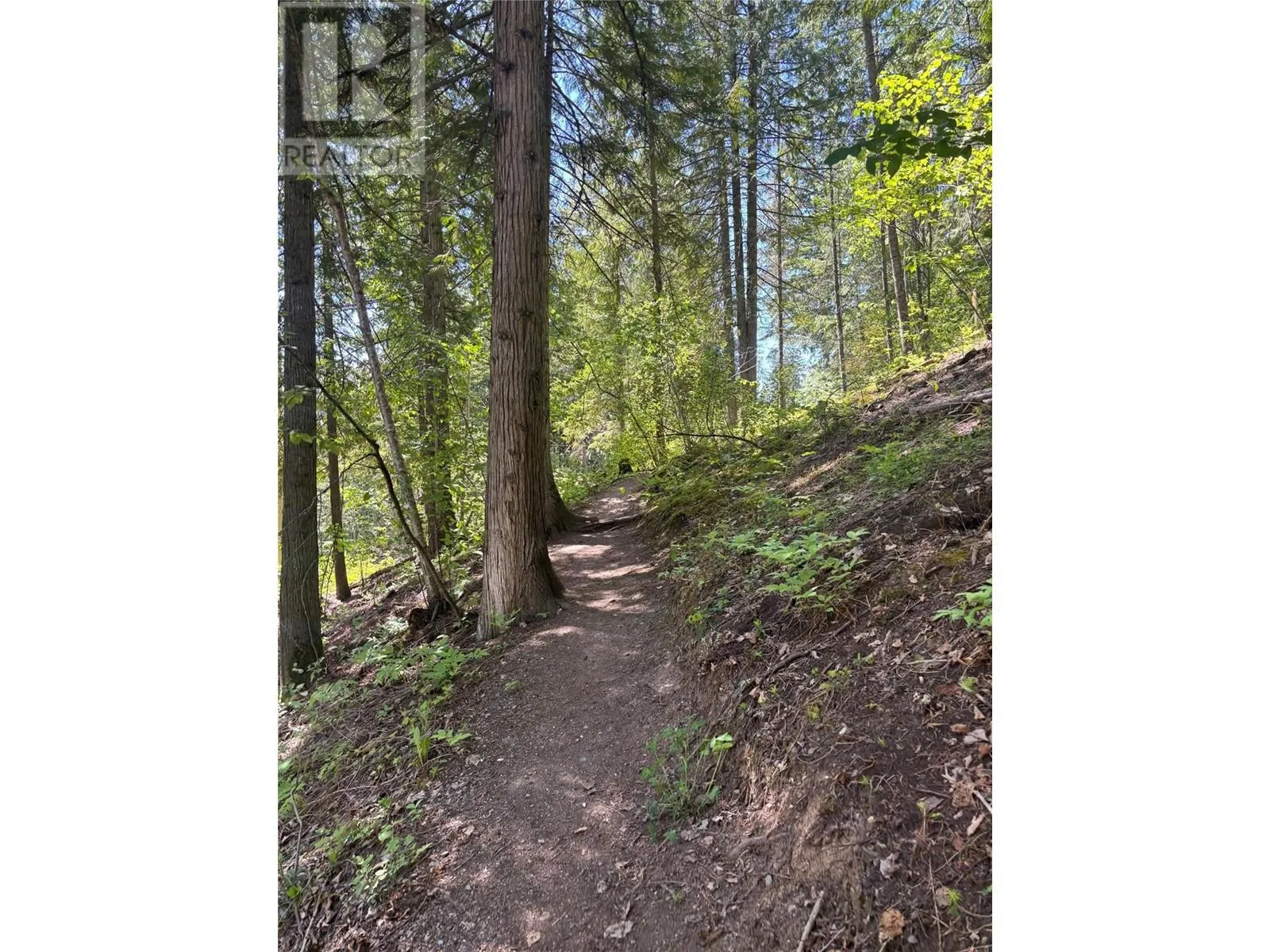 Lot 16 Lonneke Trail Lot# 16