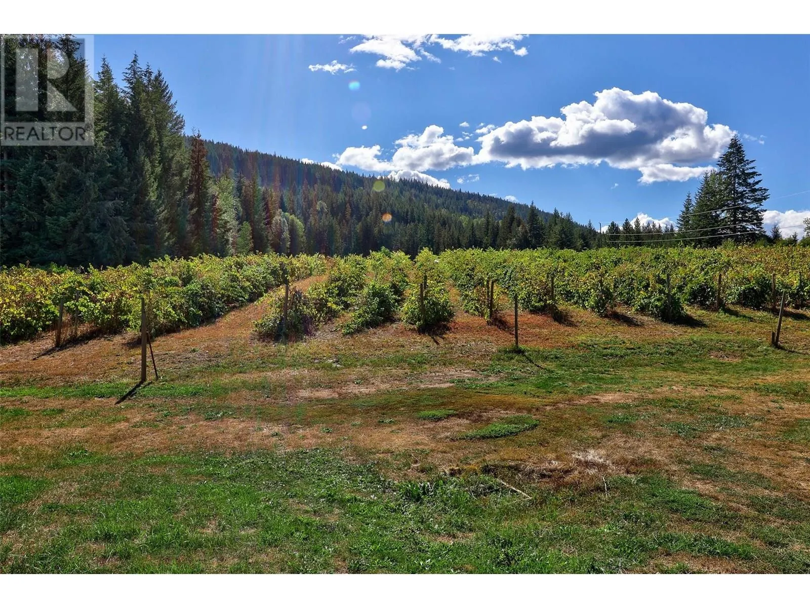 3832 Pakka Road