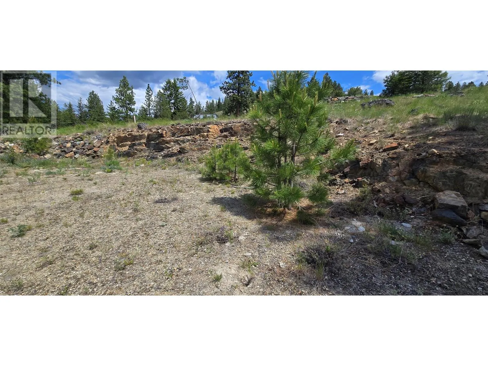 1035 Bullmoose Trail