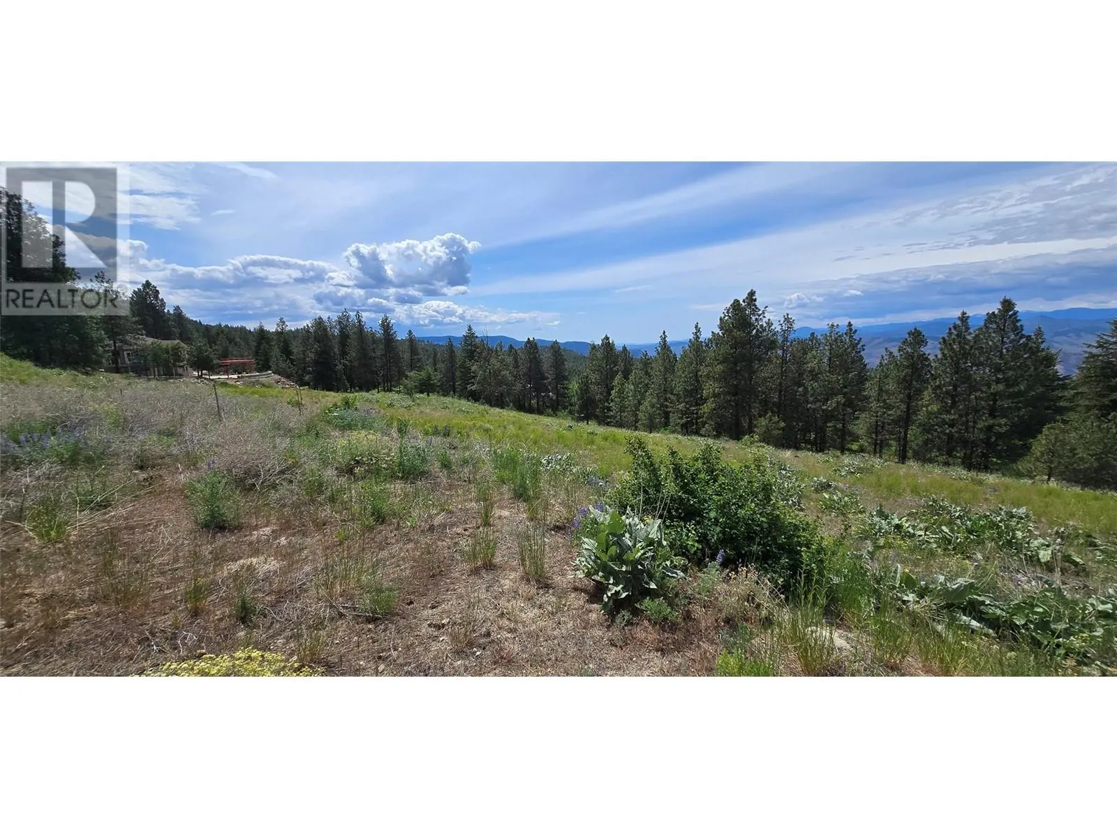 1035 Bullmoose Trail
