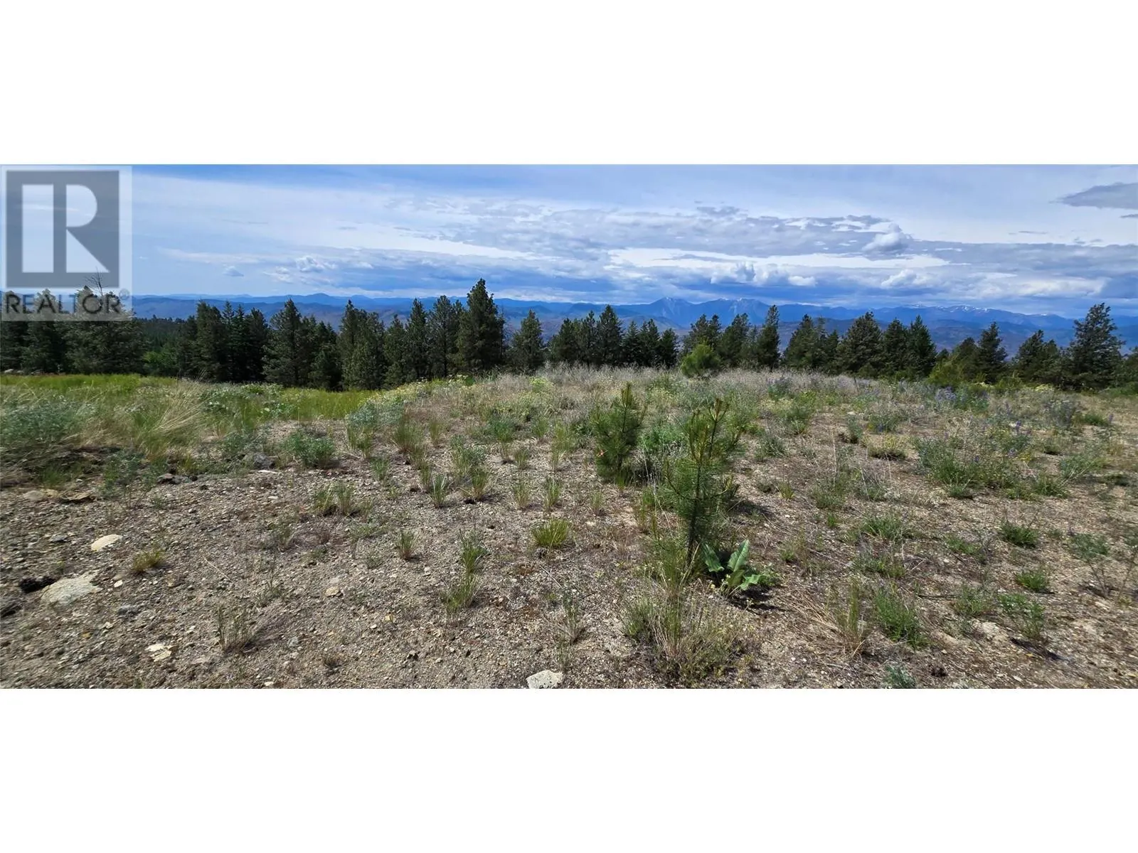 1035 Bullmoose Trail
