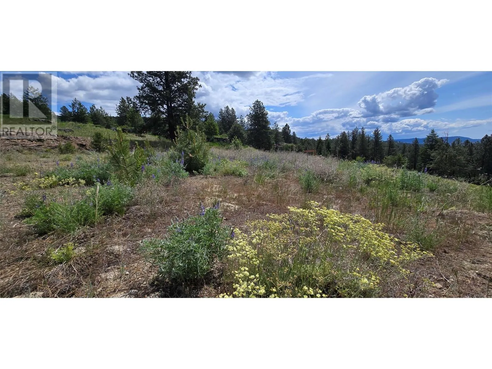 1035 Bullmoose Trail