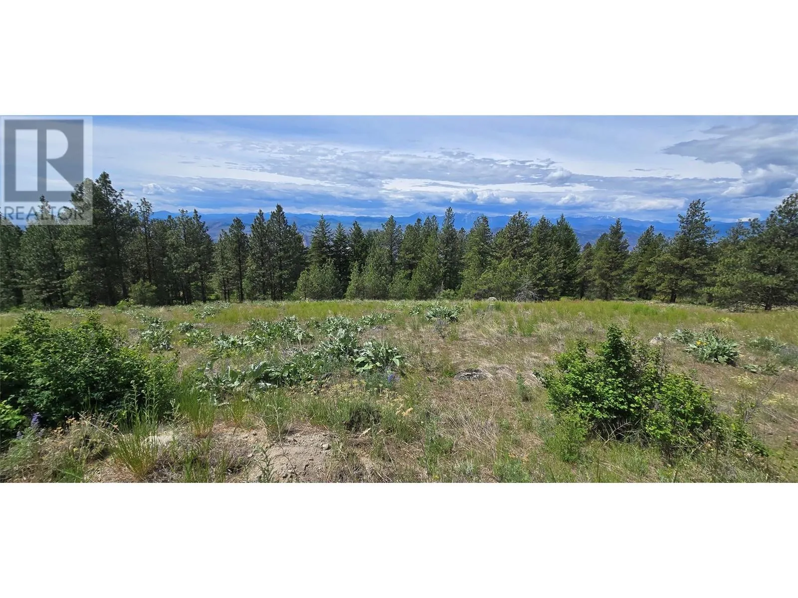 1035 Bullmoose Trail