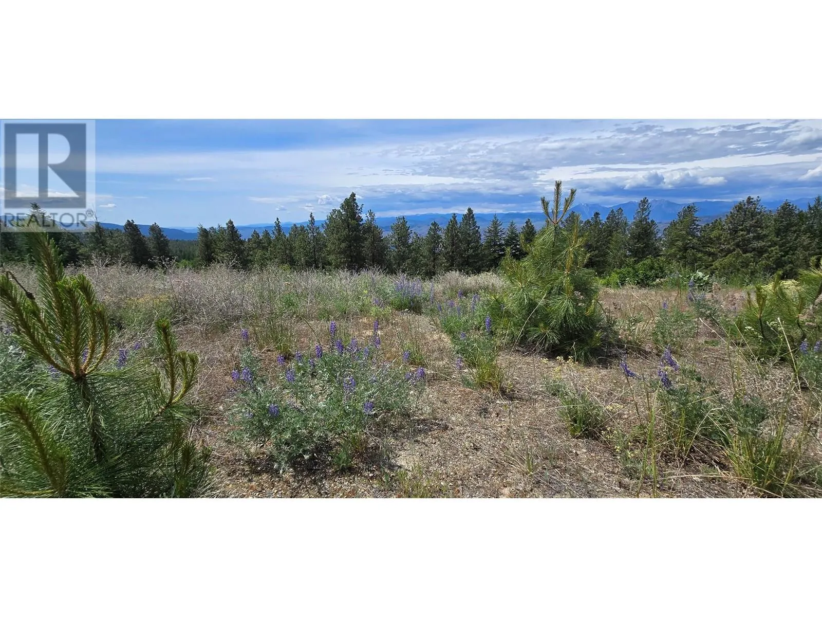 1035 Bullmoose Trail