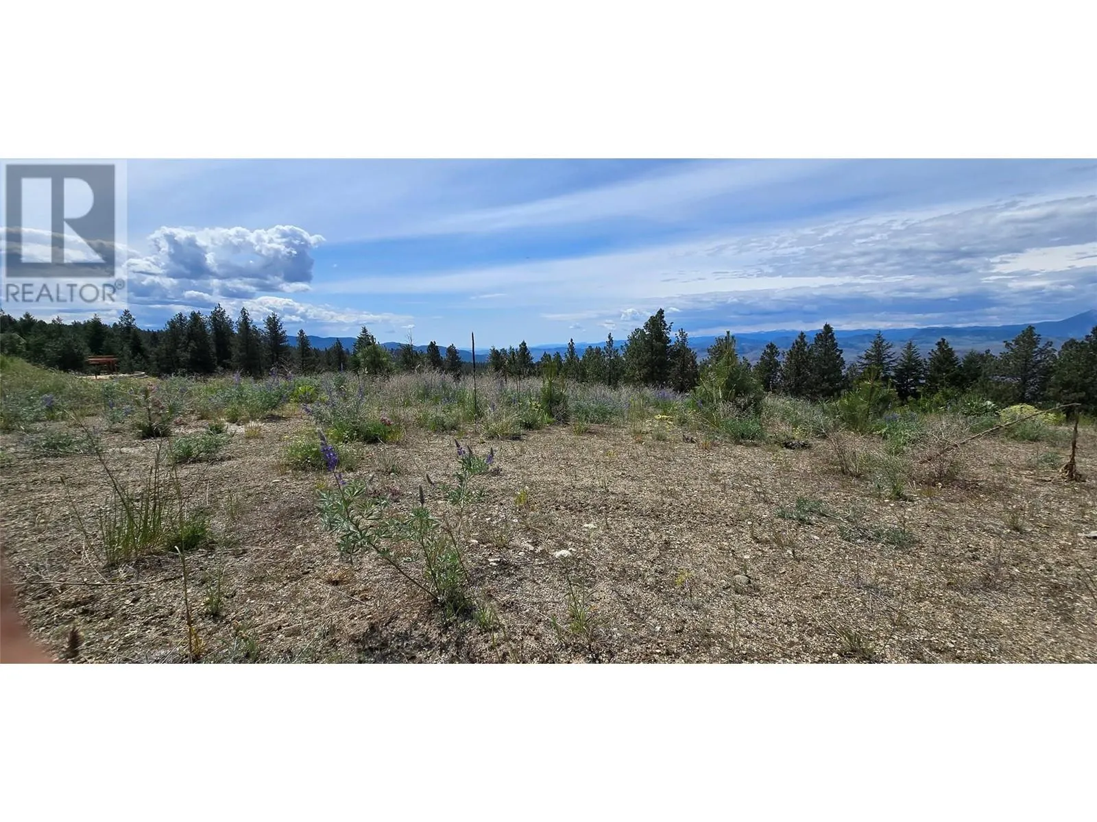 1035 Bullmoose Trail