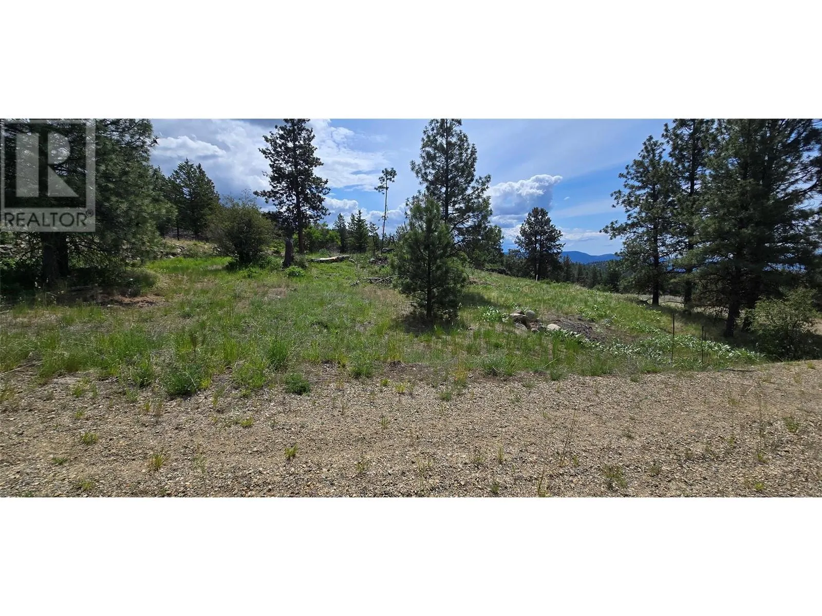 1035 Bullmoose Trail