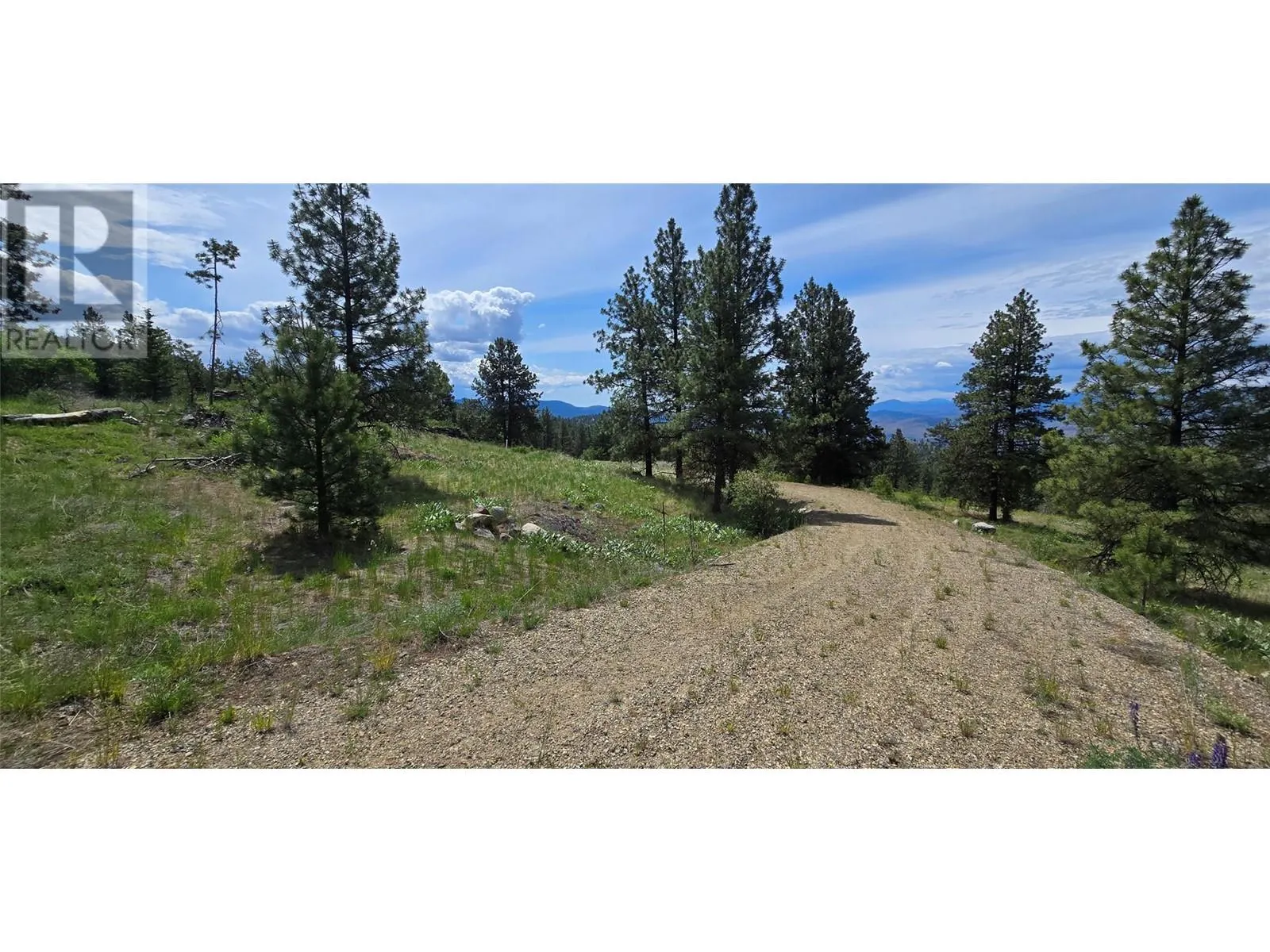 1035 Bullmoose Trail