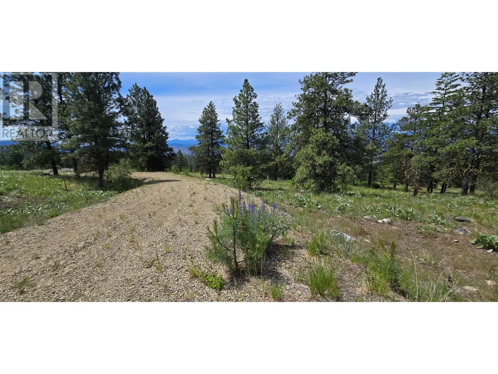 1035 Bullmoose Trail