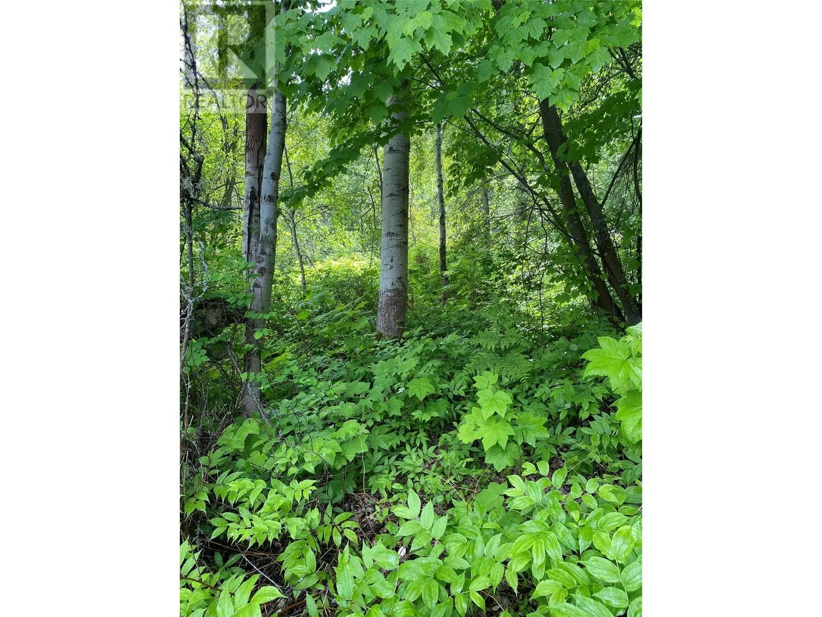 Lot 1 - 9 Arrow Lakes Drive