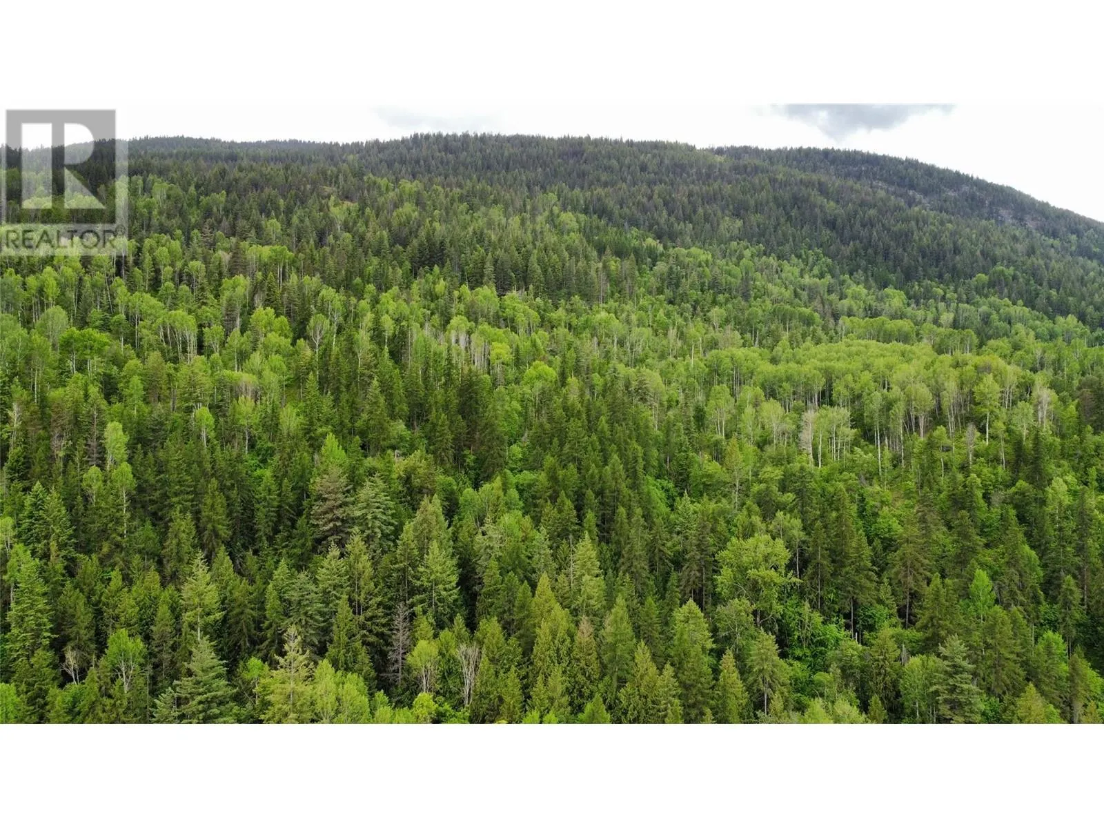 Lot 1 - 9 Arrow Lakes Drive