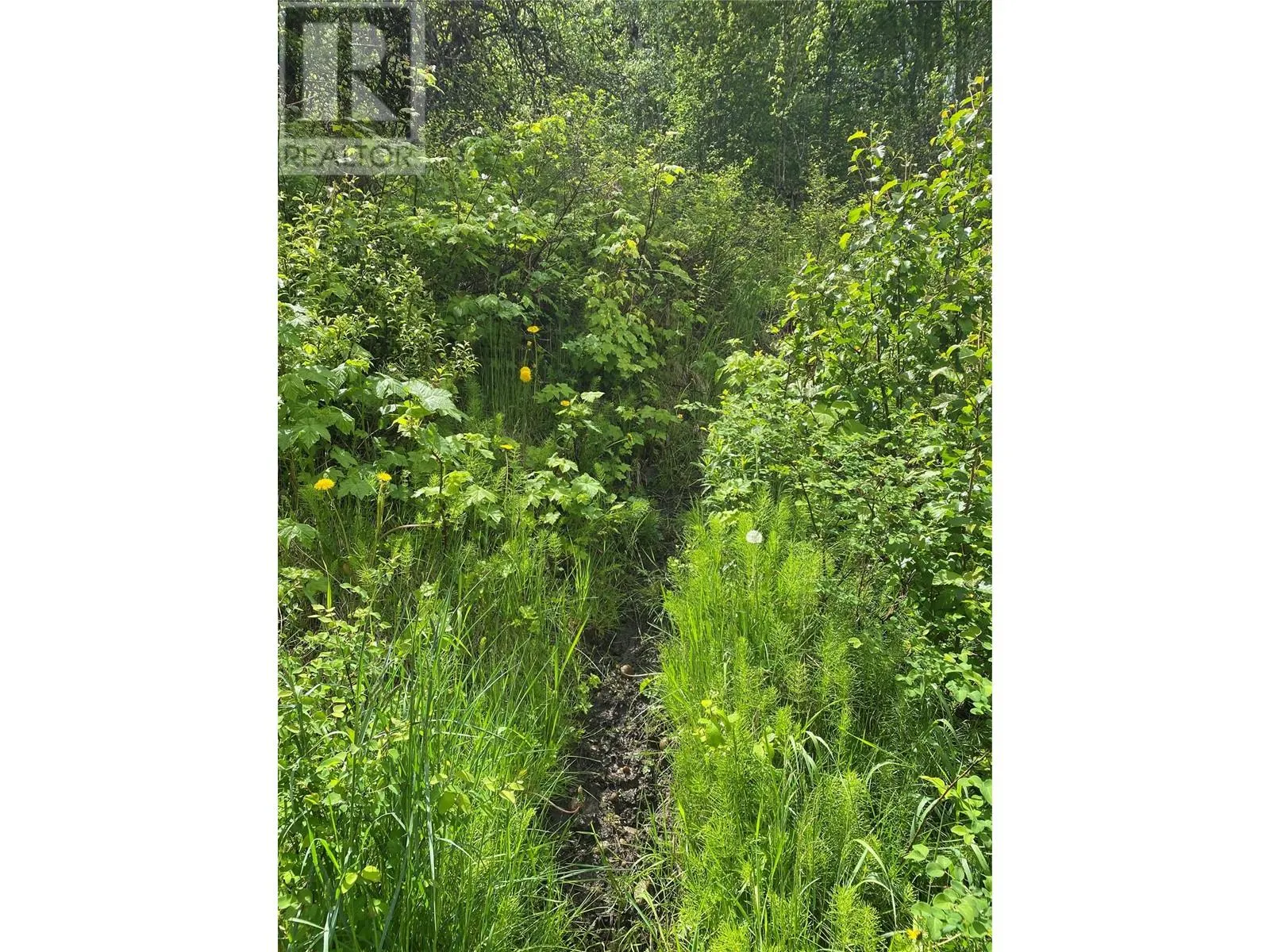 Lot 1 - 9 Arrow Lakes Drive
