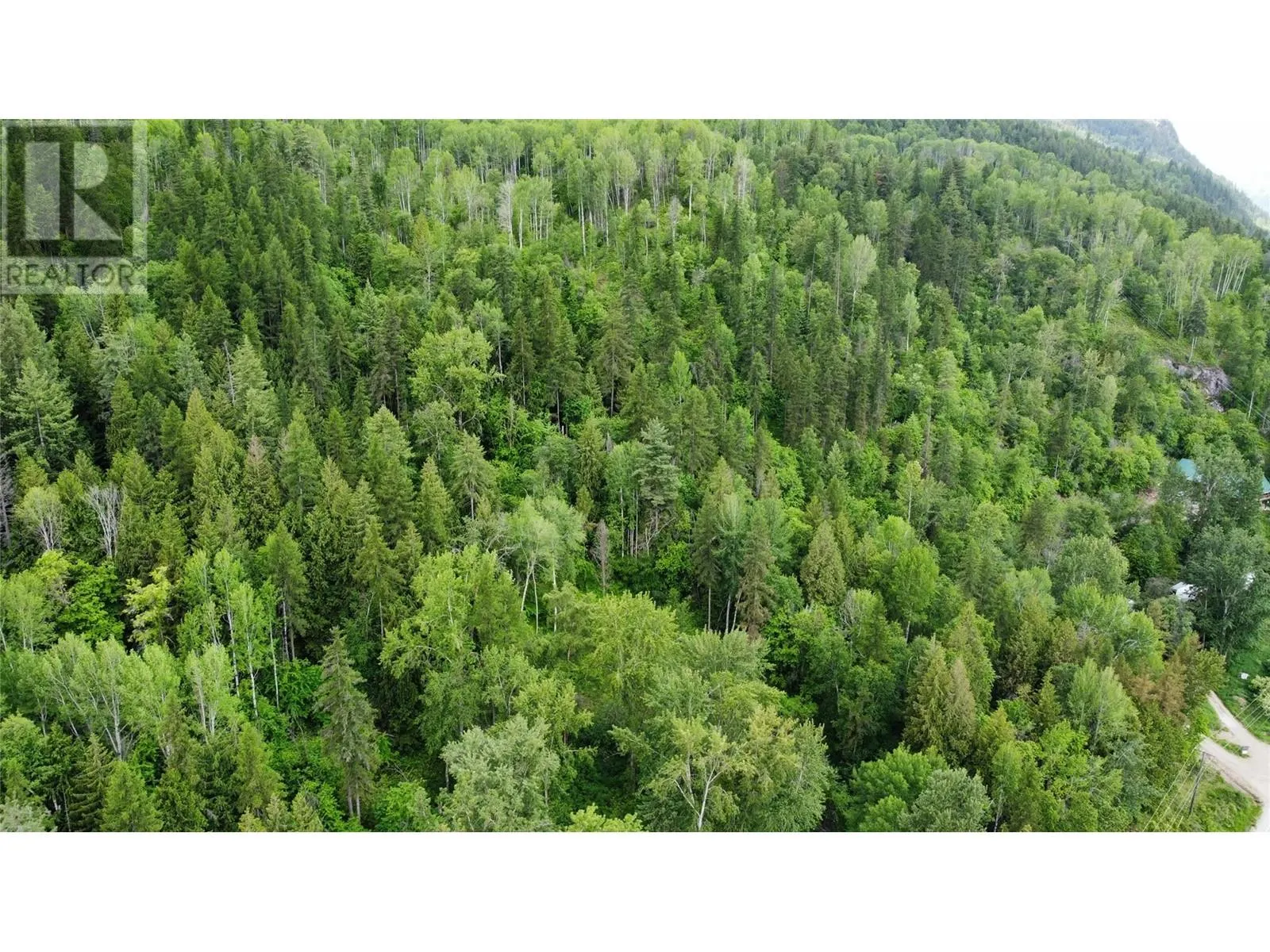 Lot 1 - 9 Arrow Lakes Drive