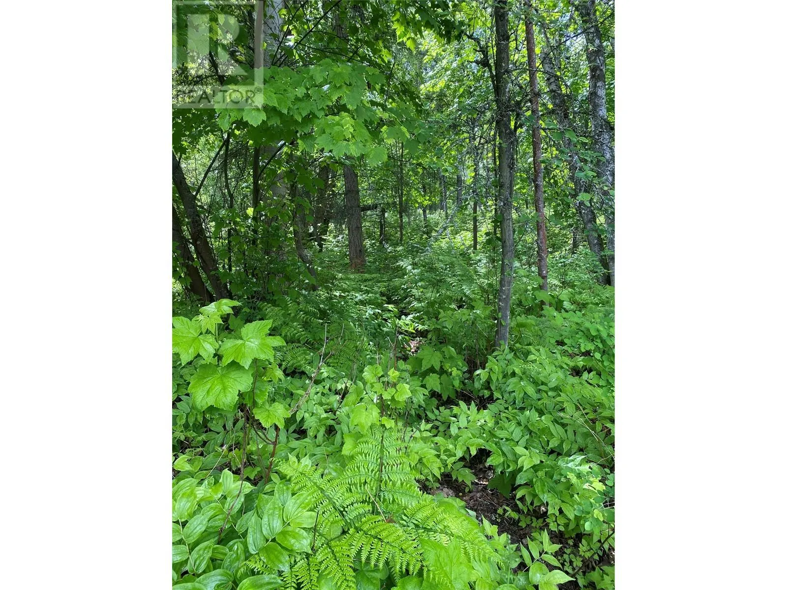 Lot 1 - 9 Arrow Lakes Drive