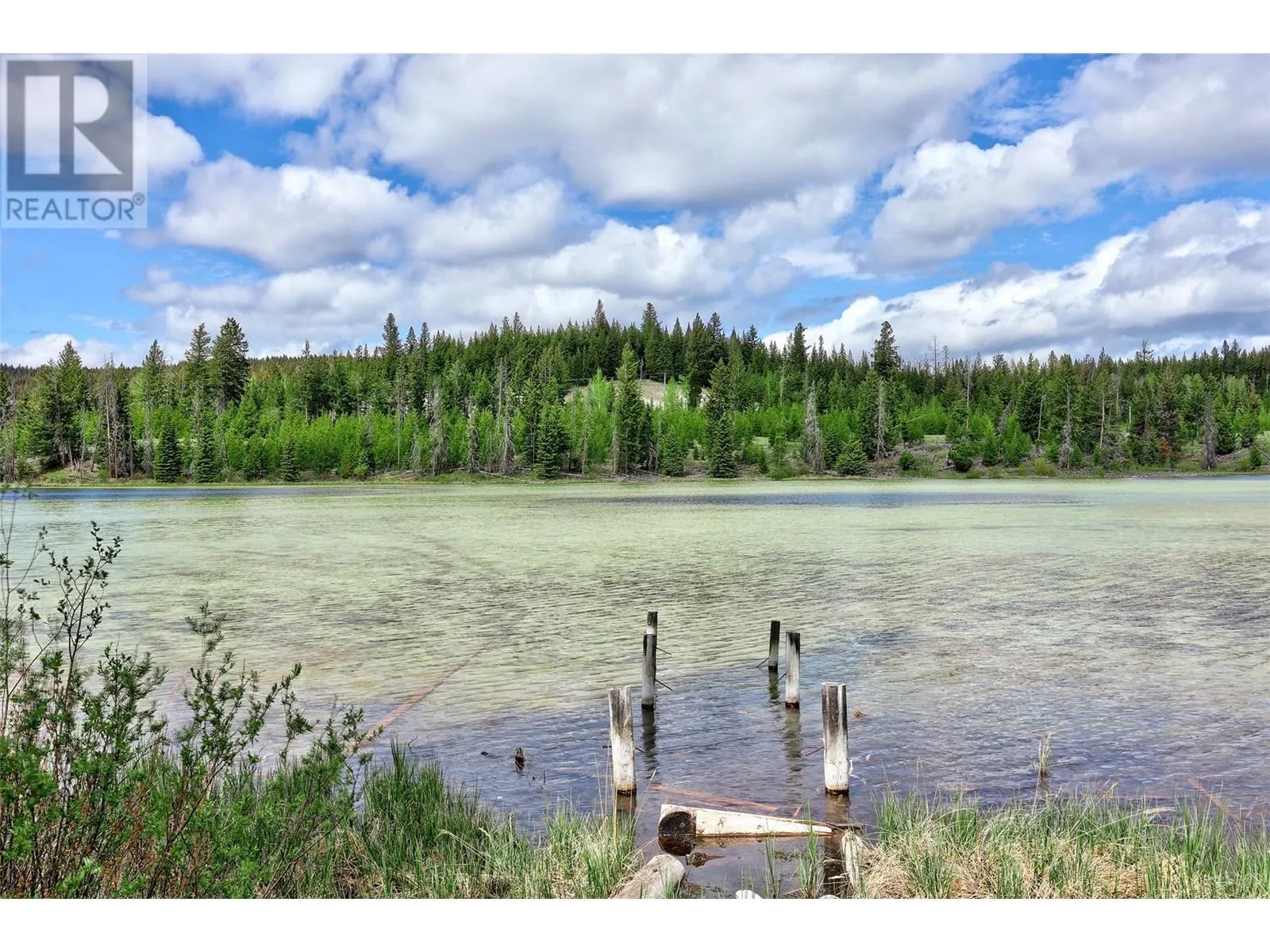 5485 LAC LE JEUNE Road Unit# 14