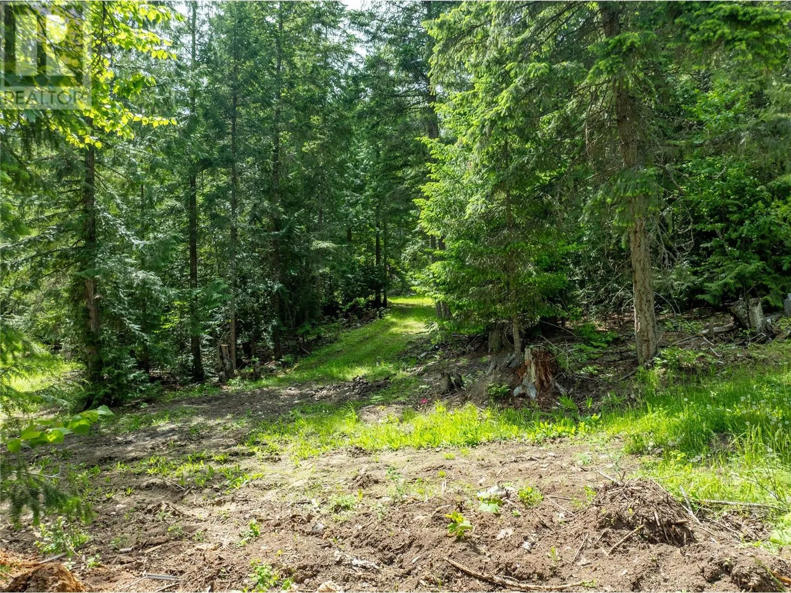 3175 Hautala Road