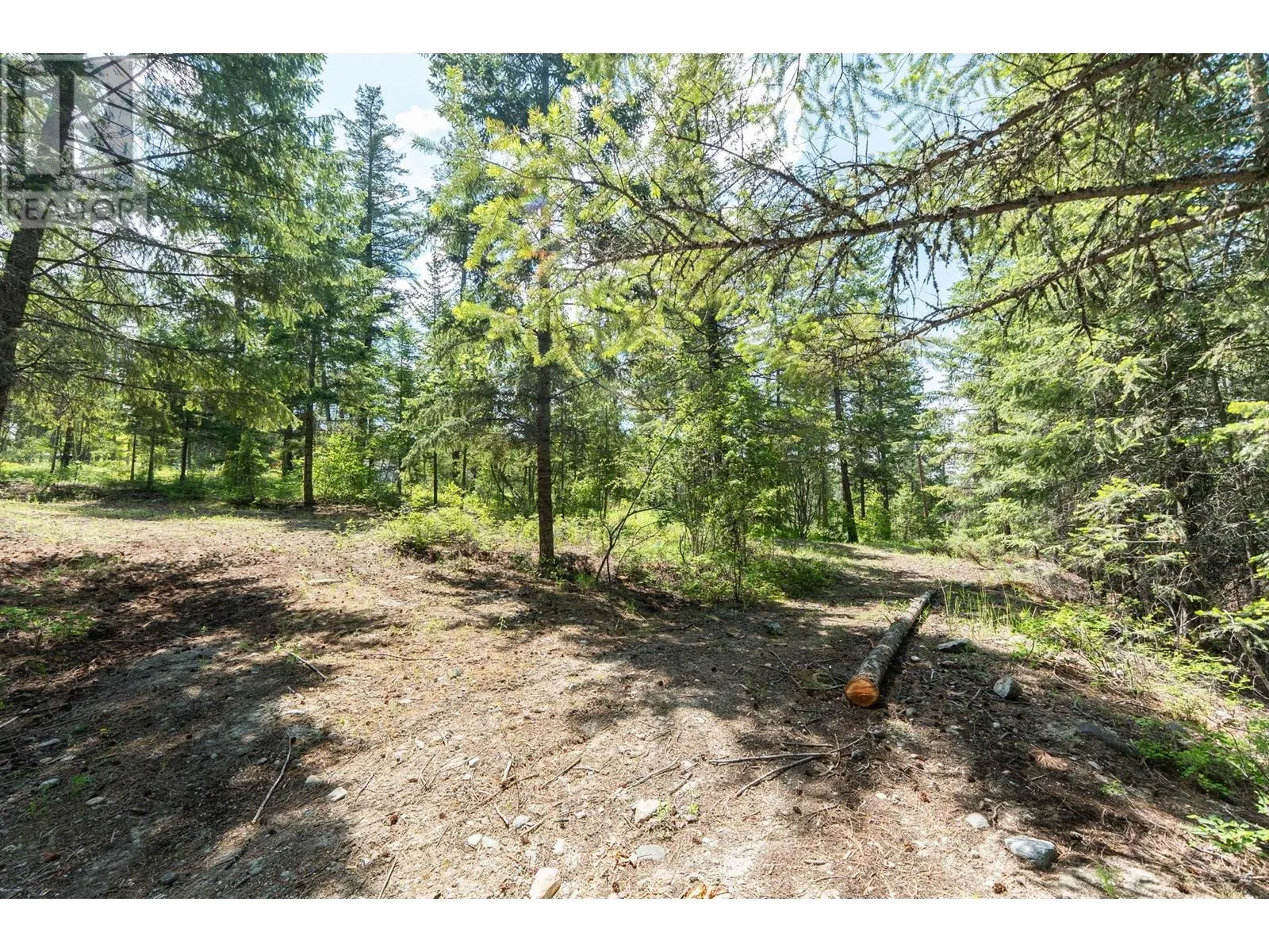 4410A June Springs Road