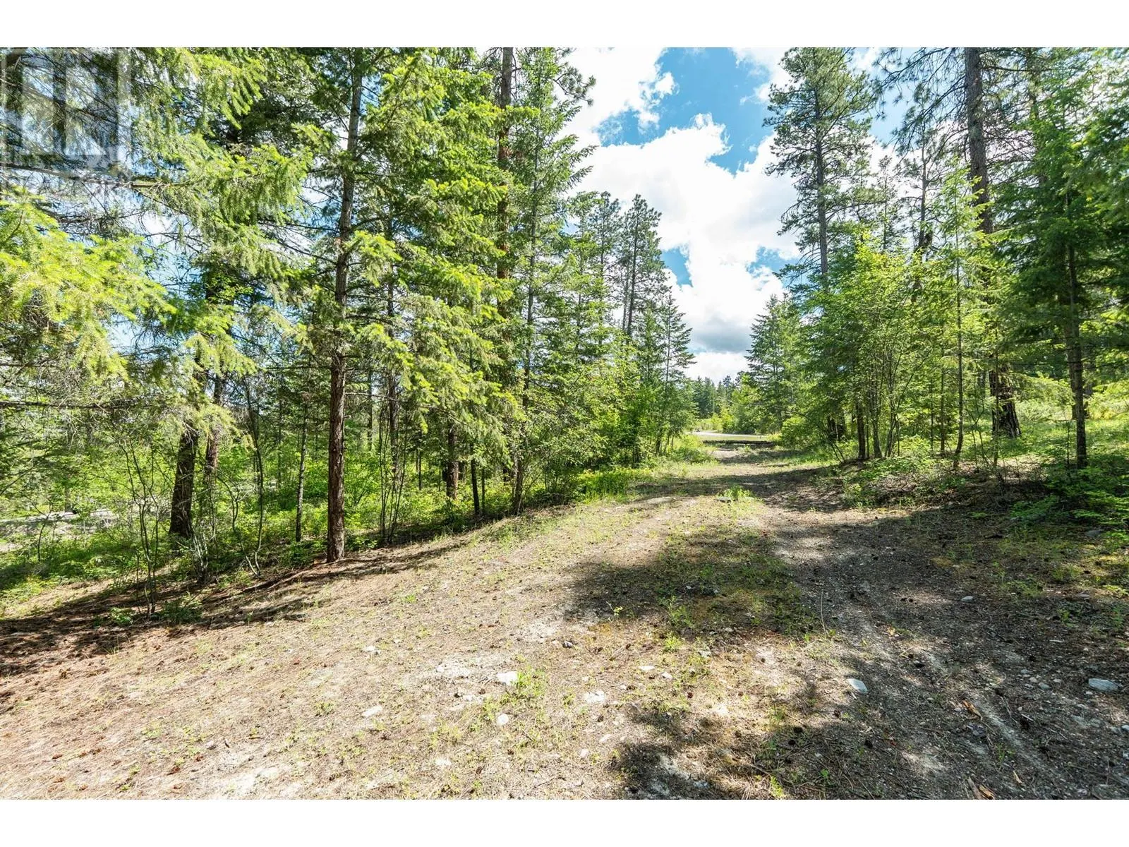 4410A June Springs Road