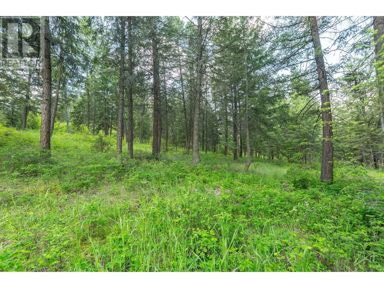 4410A June Springs Road