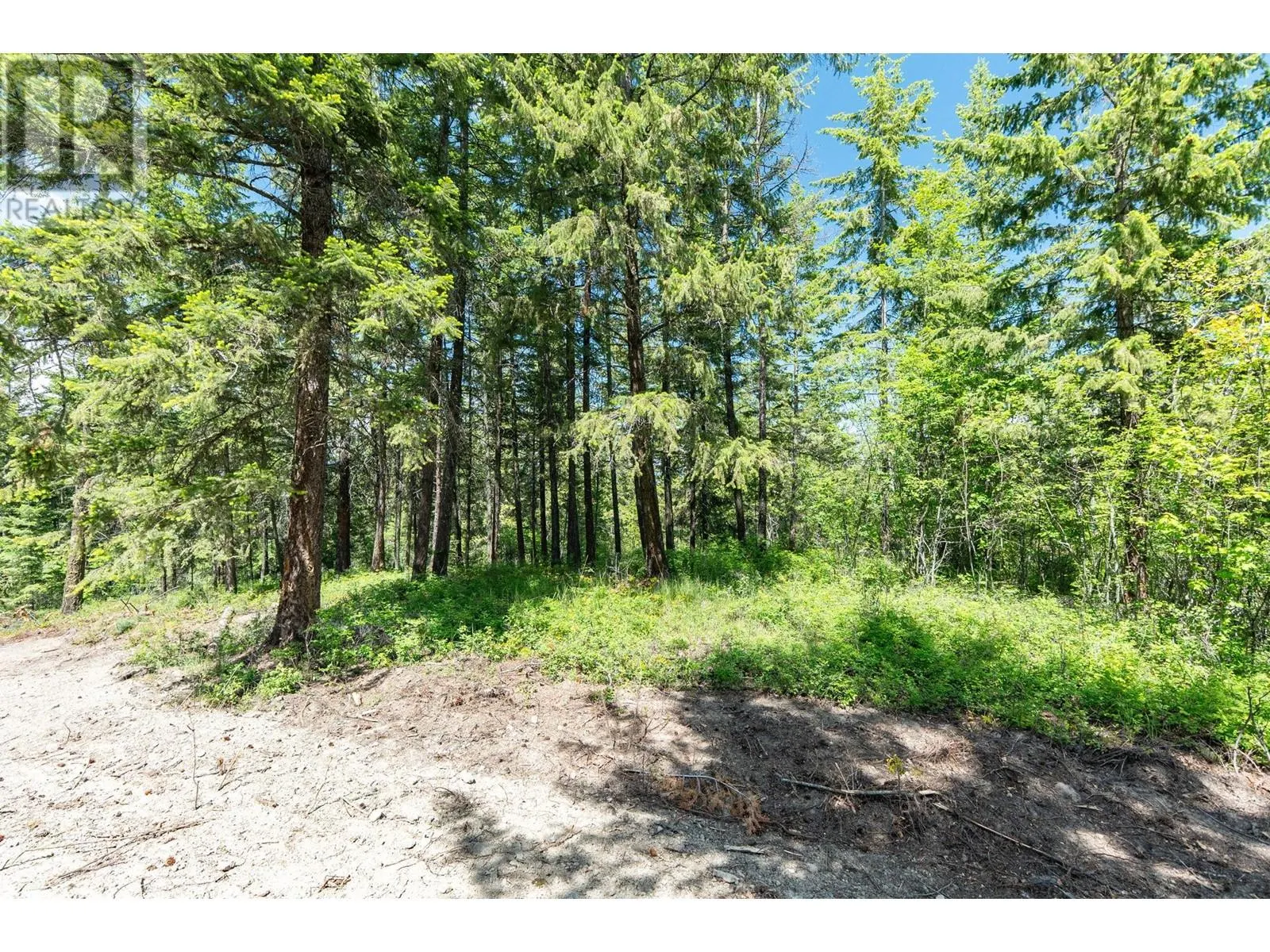 4410A June Springs Road
