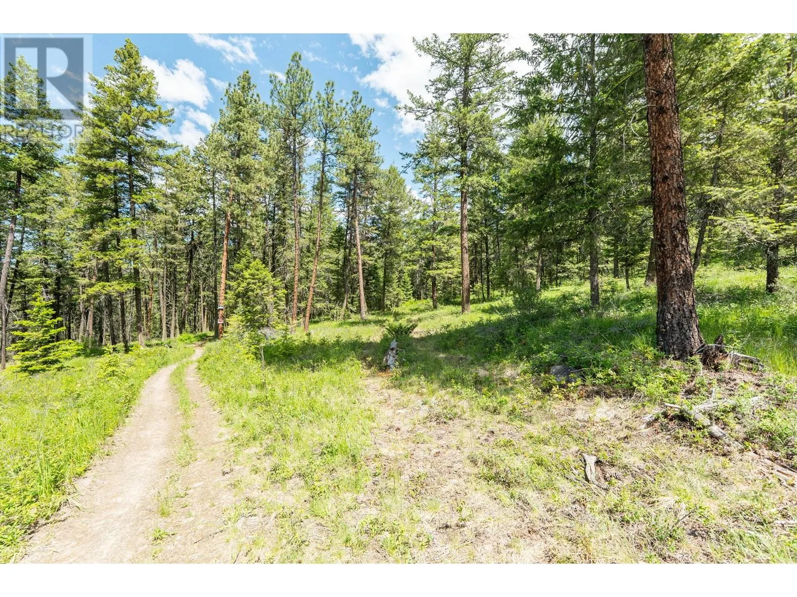 4410A June Springs Road