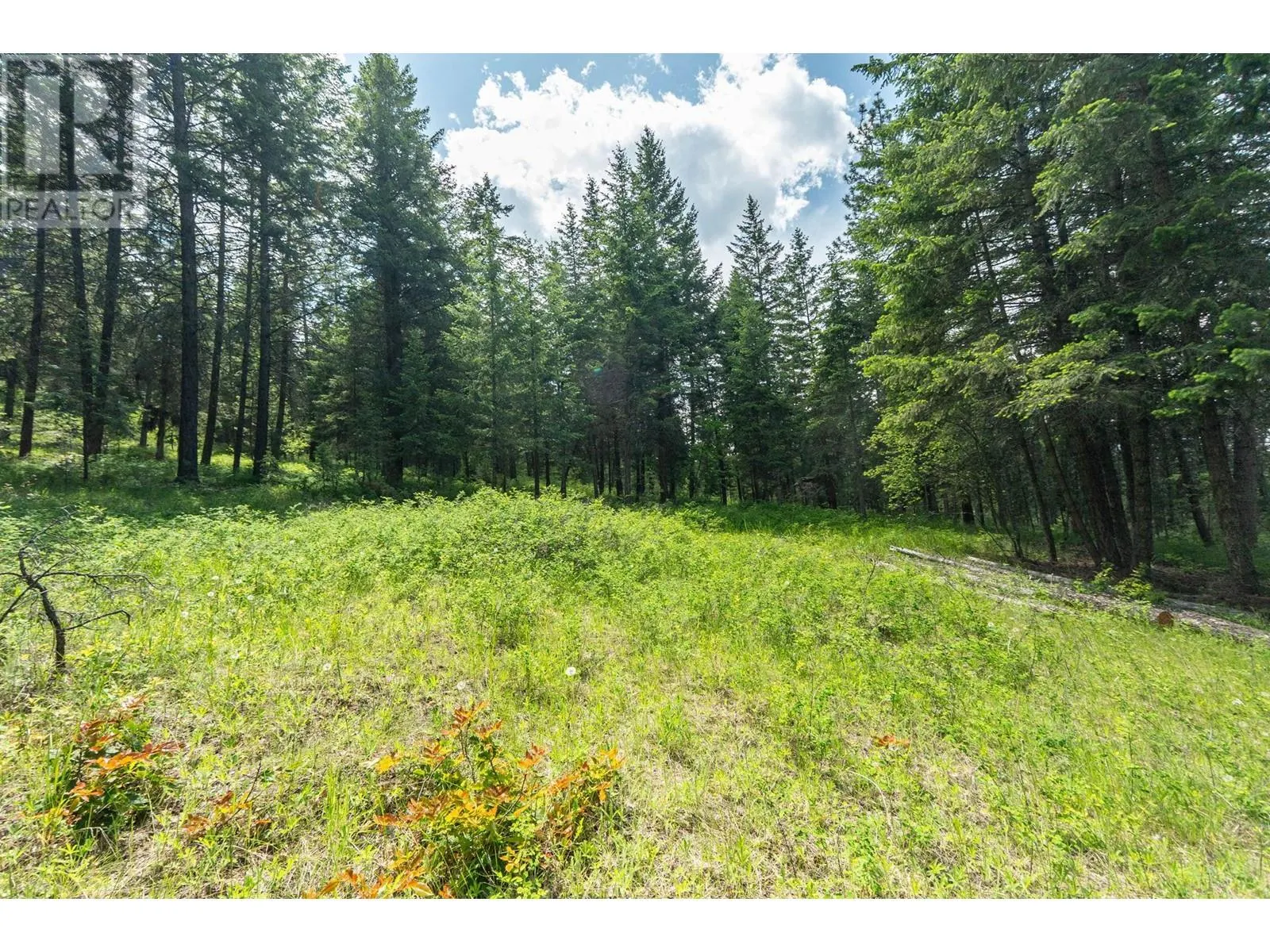 4410A June Springs Road