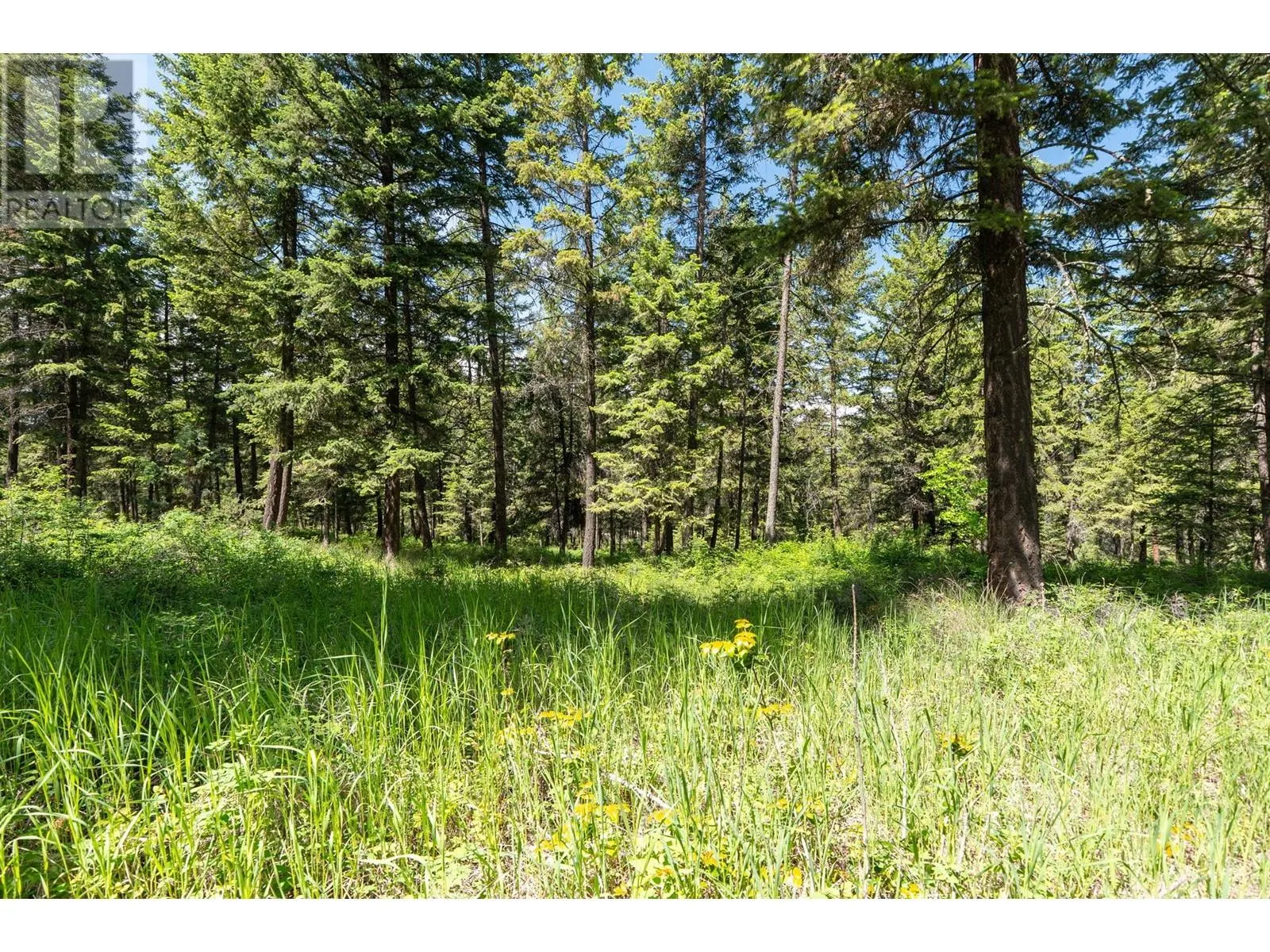 4410A June Springs Road