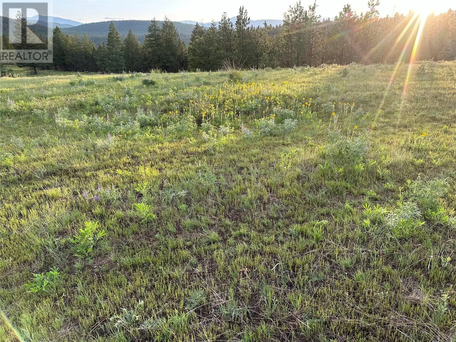 Proposed Lot 4 - 6145 Parnaby Road