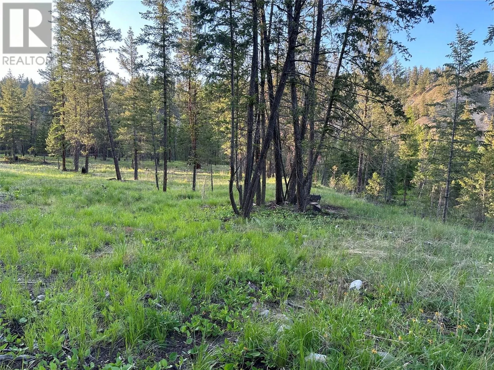 Proposed Lot 4 - 6145 Parnaby Road