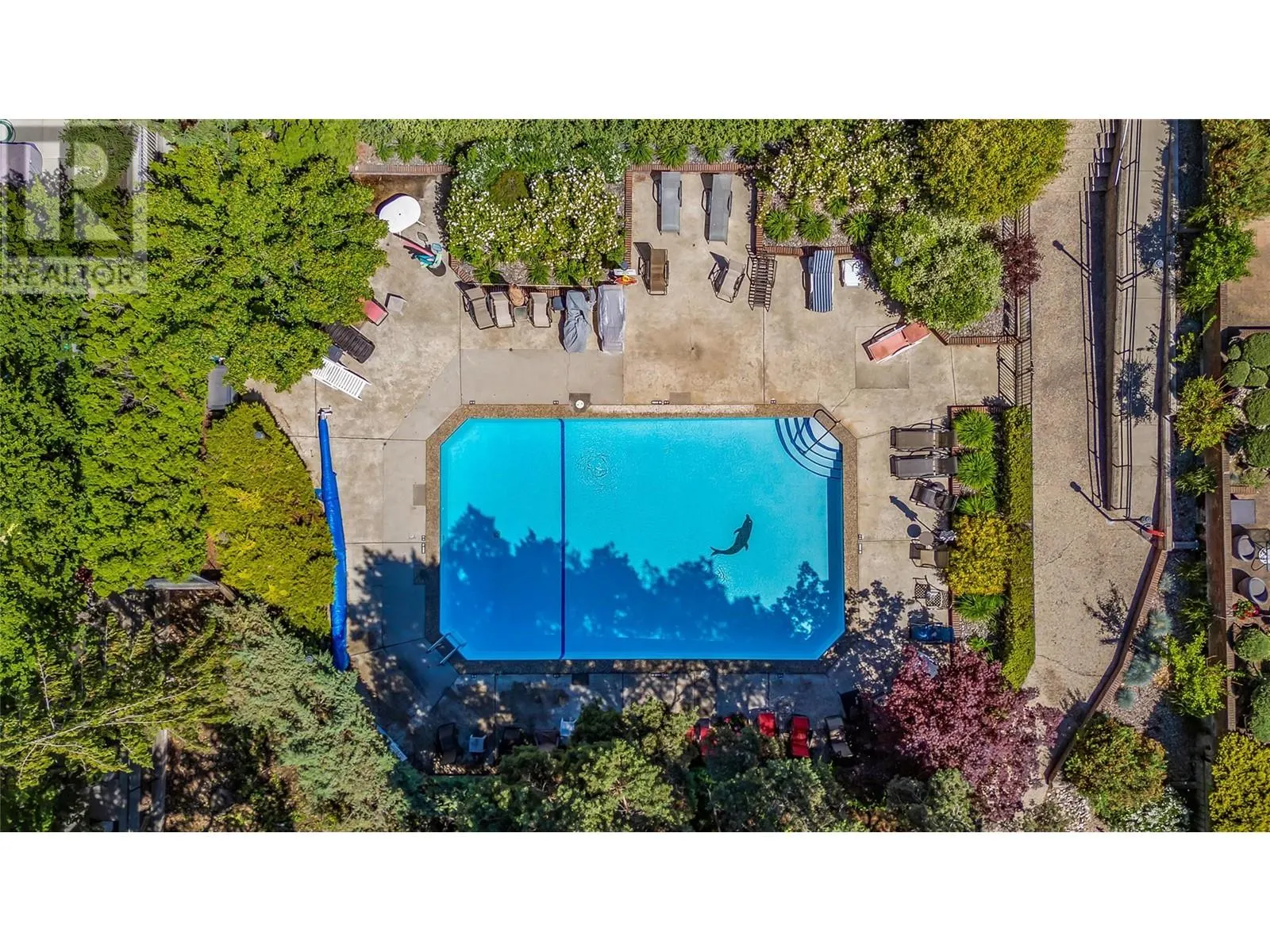 1056 Bernard Avenue Unit# 216