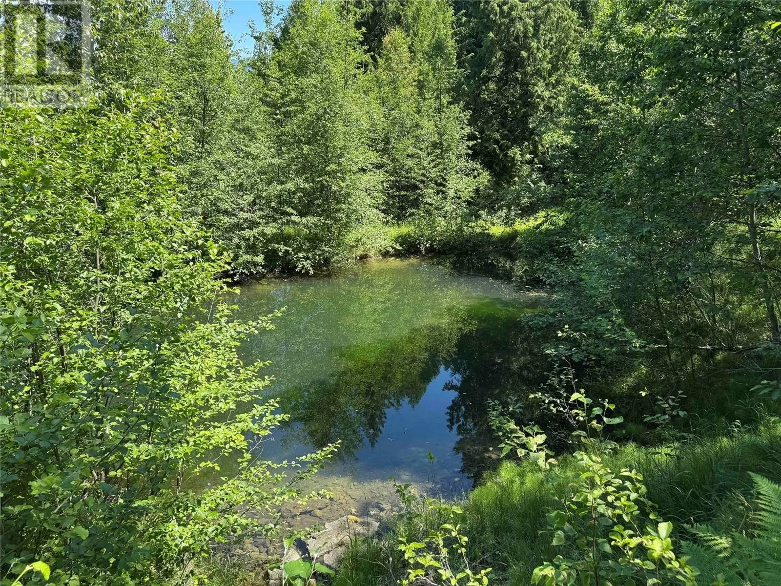 4399 Bird Creek Road
