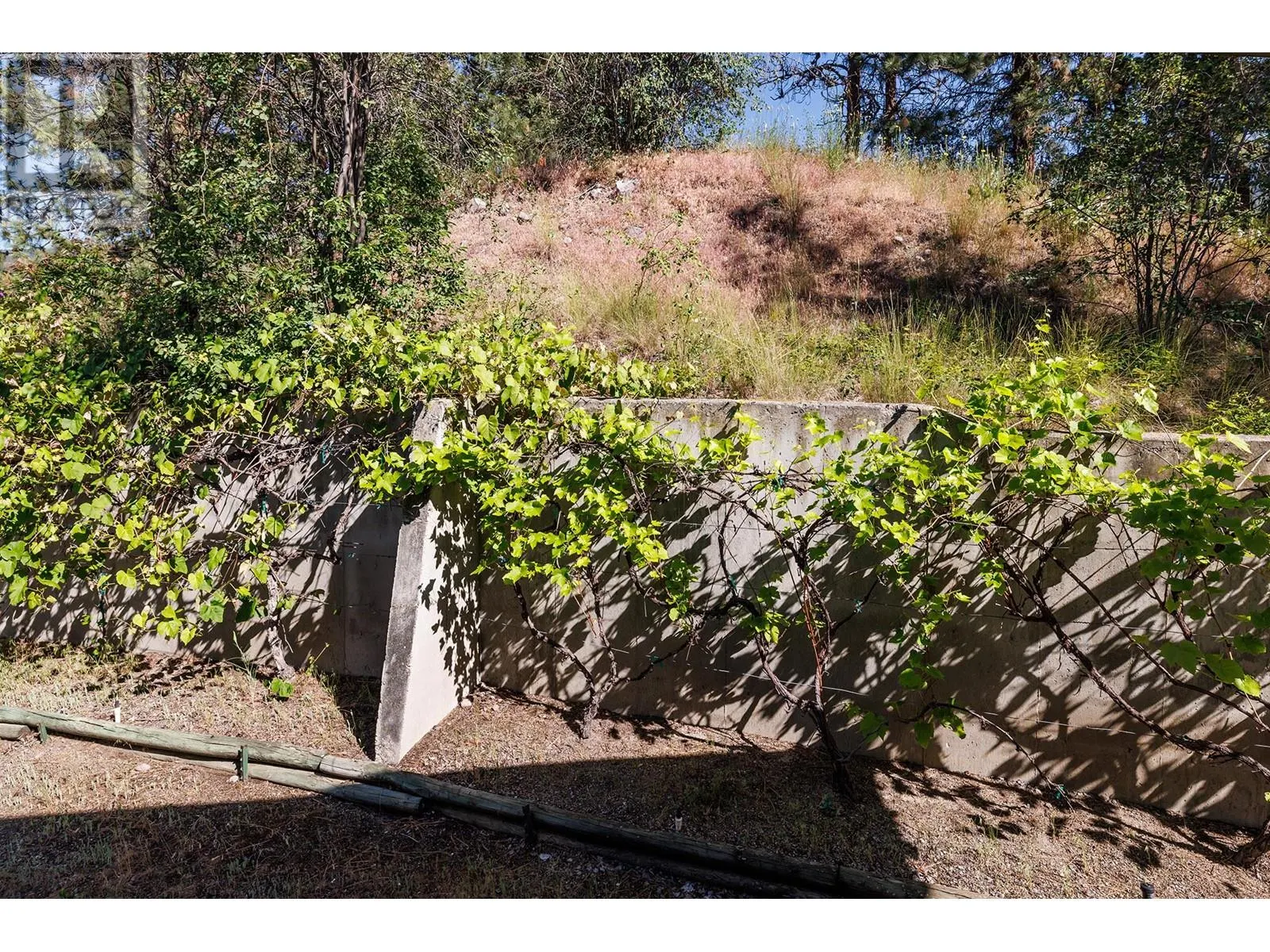 3101 Elliott Road