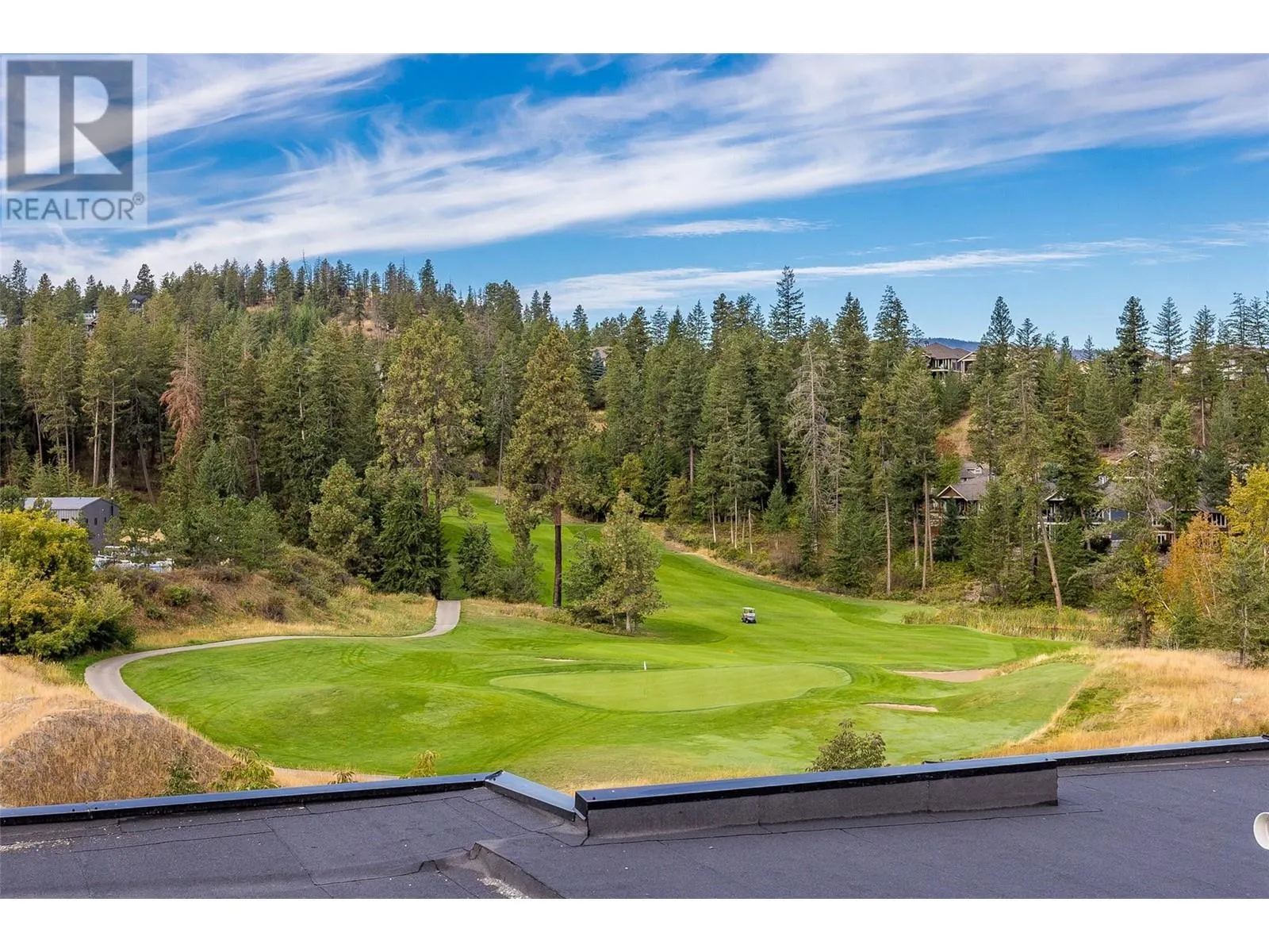 105 Predator Ridge Drive Unit# 2