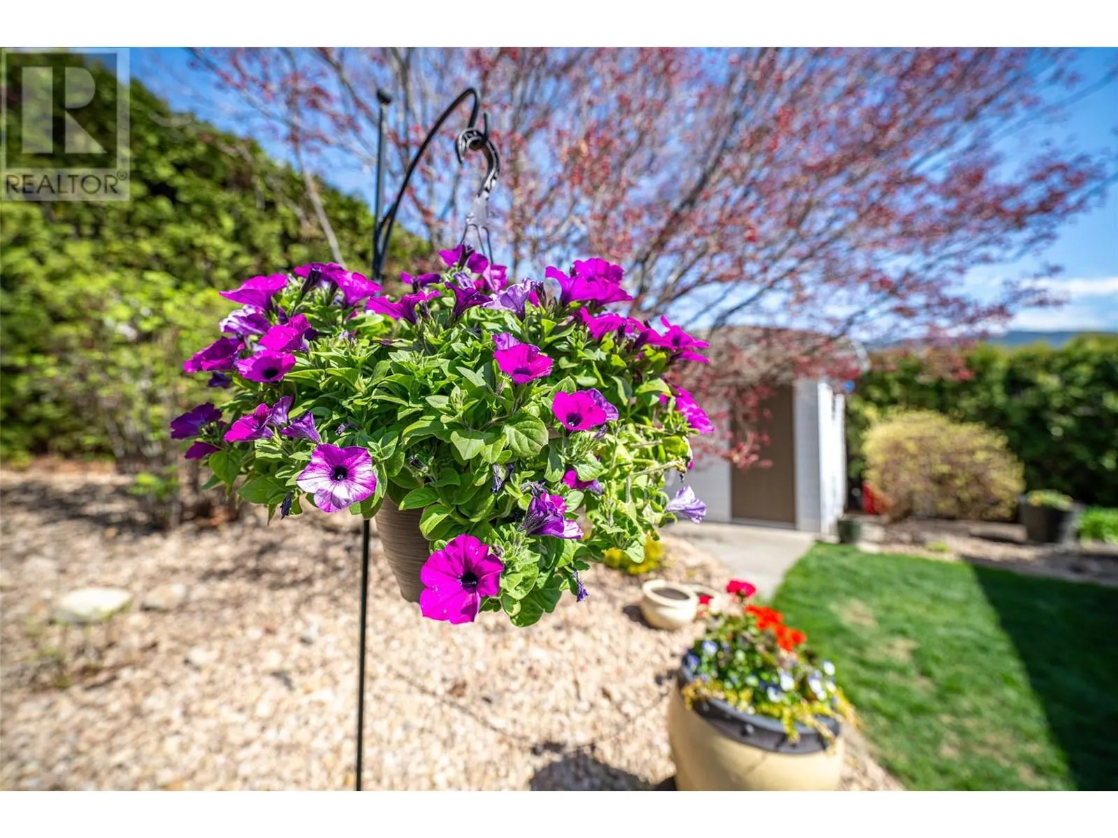 6769 Foothills Drive