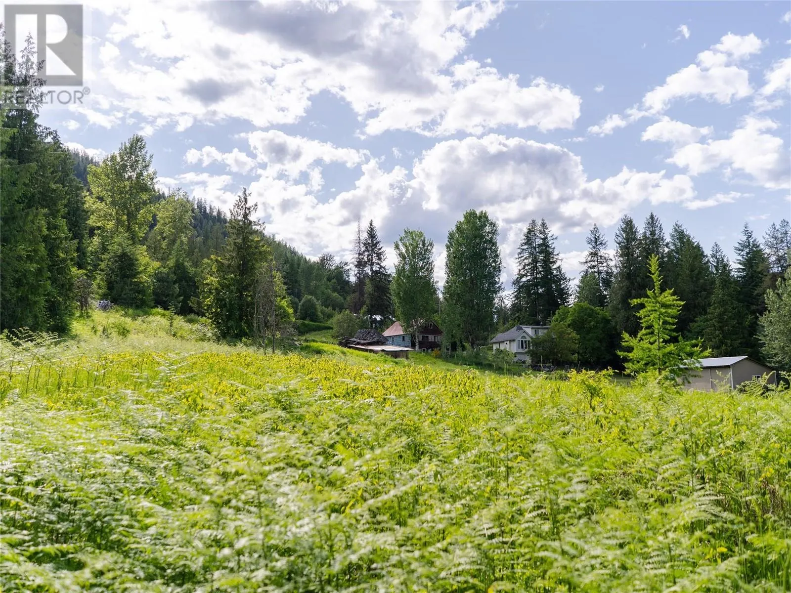 2619 Silver King Road