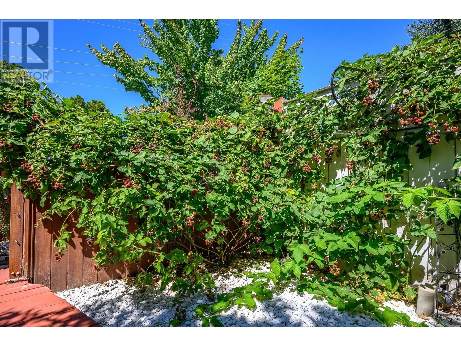 1041 11 Avenue Unit# 3