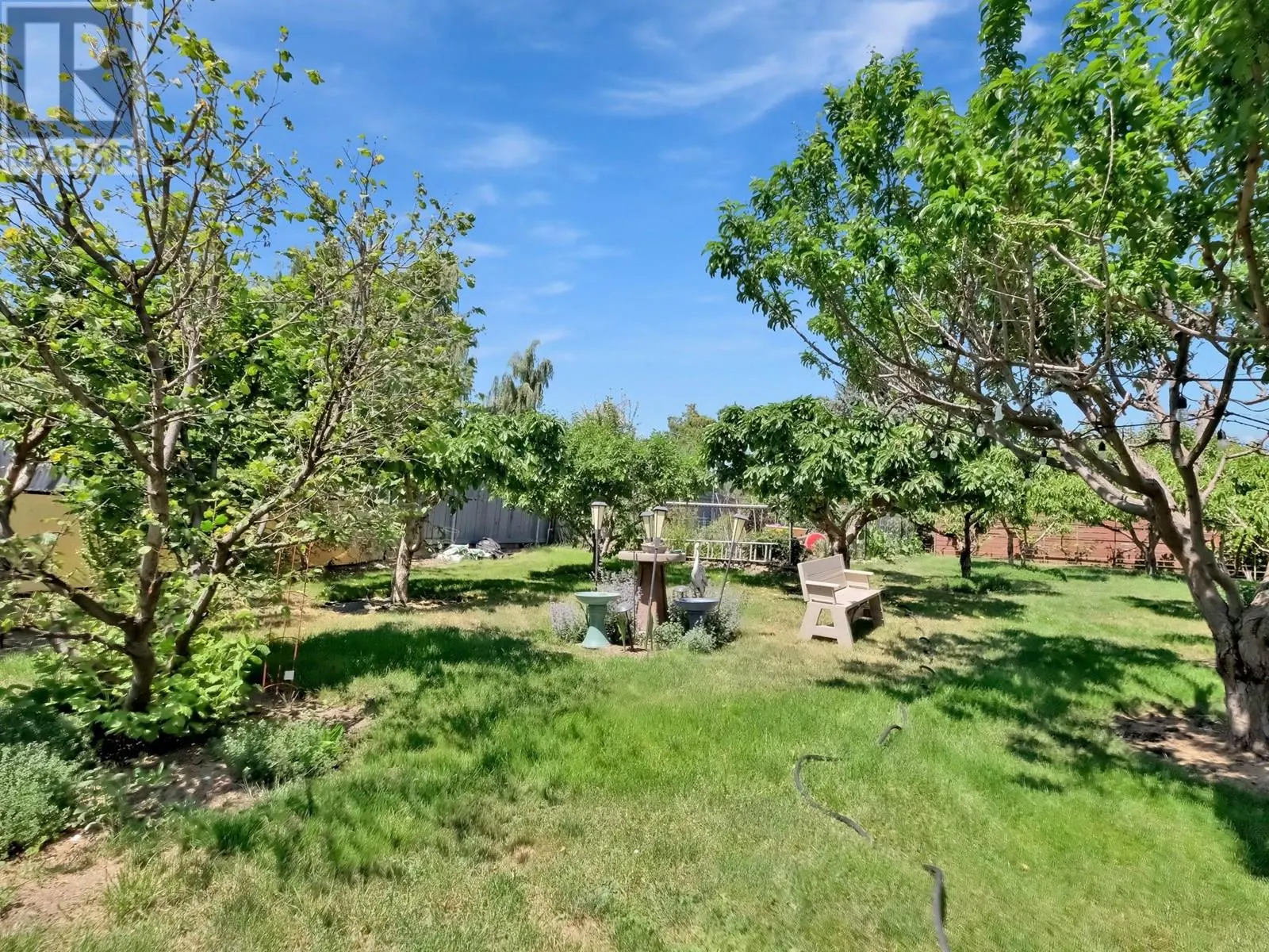 3124 Cox Road
