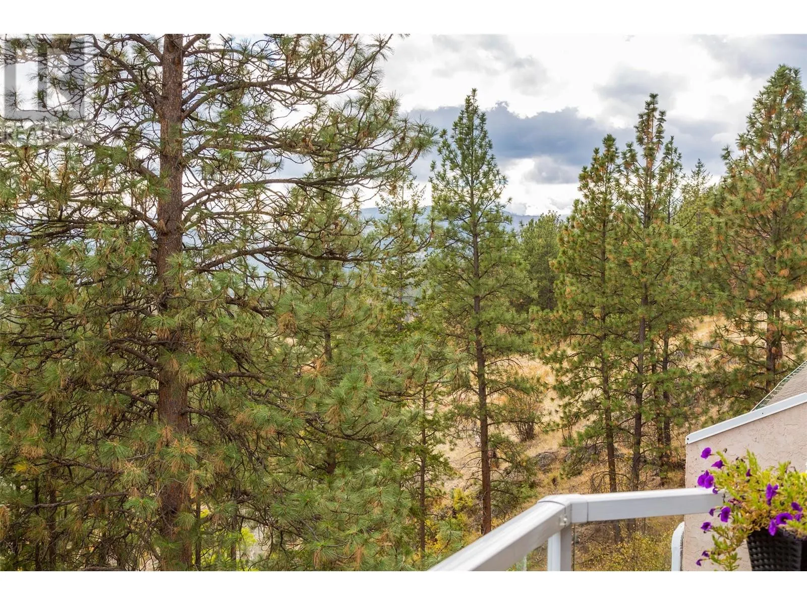 4630 PONDEROSA Drive Unit# 308