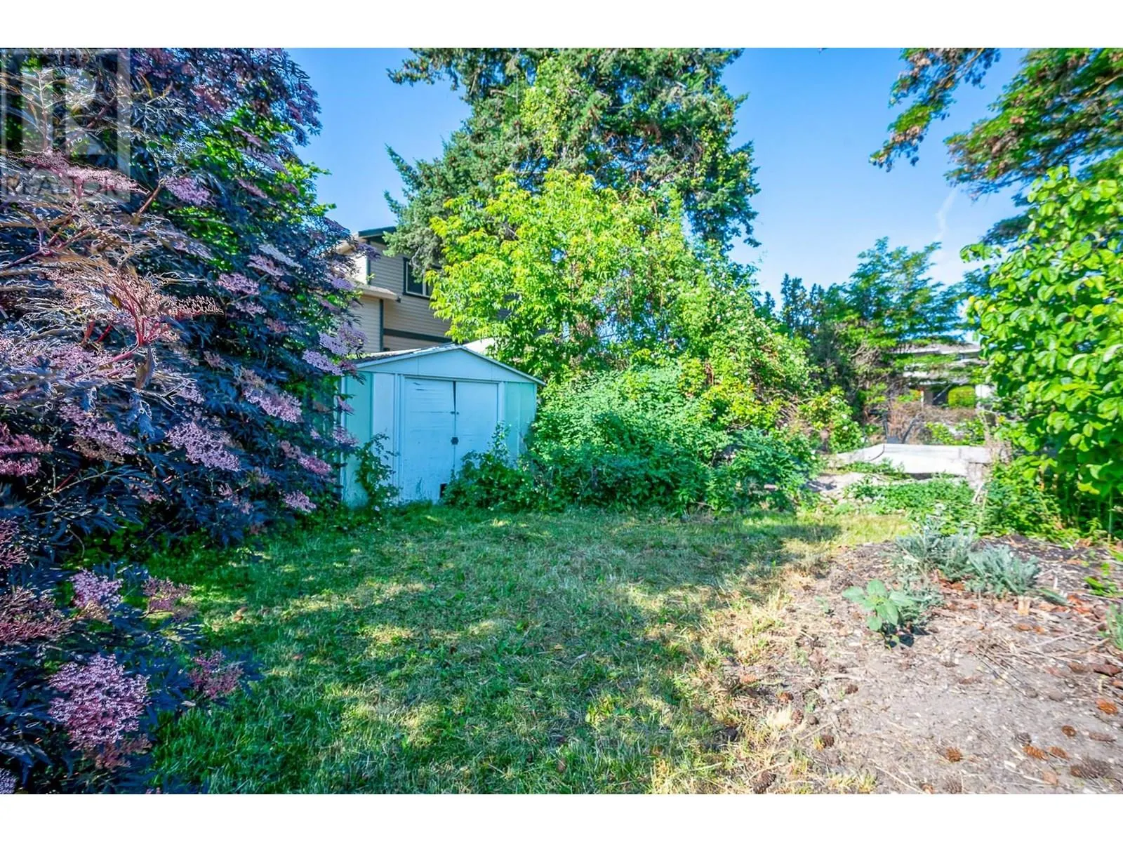 439 Osprey Avenue
