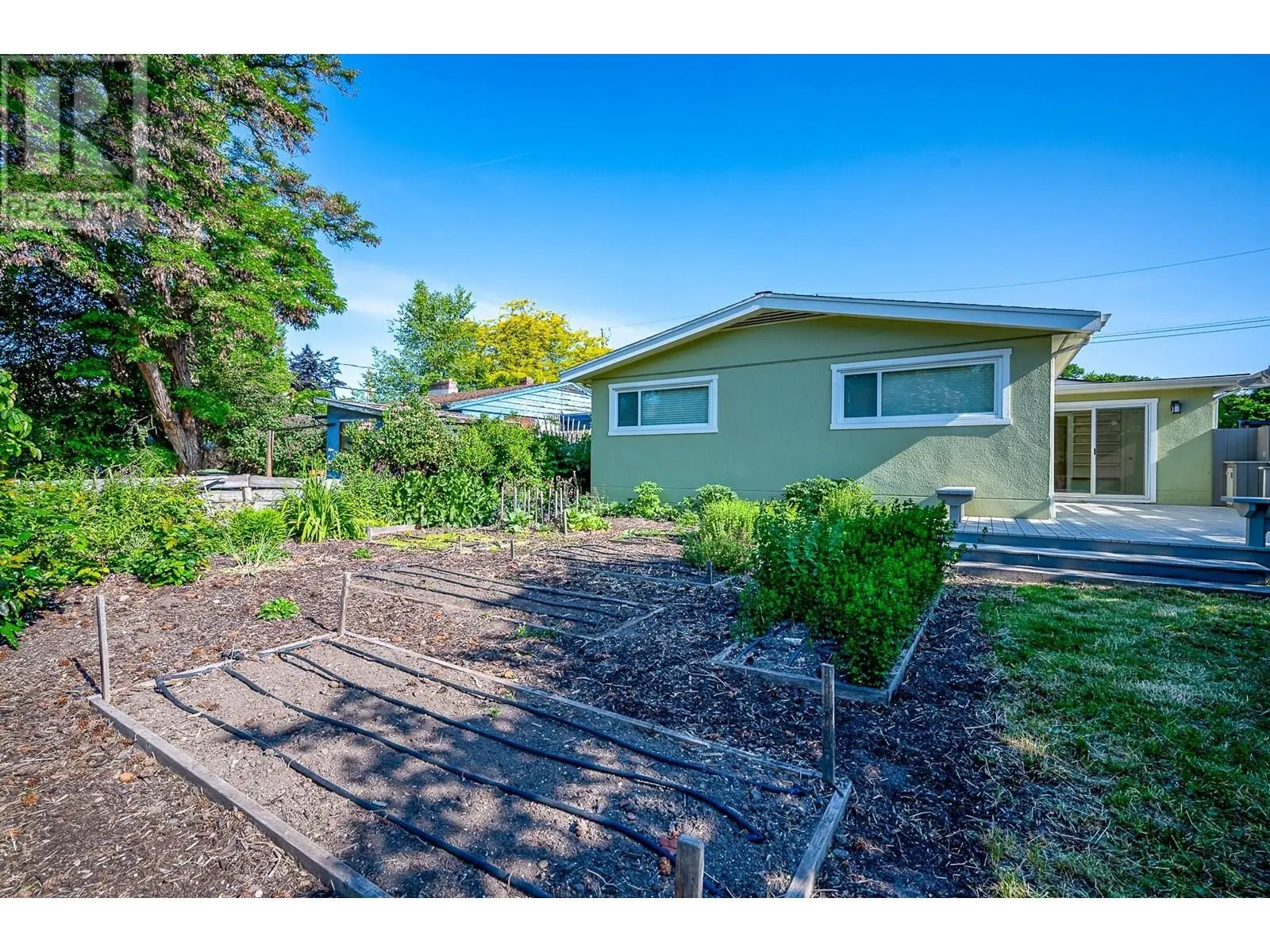 439 Osprey Avenue