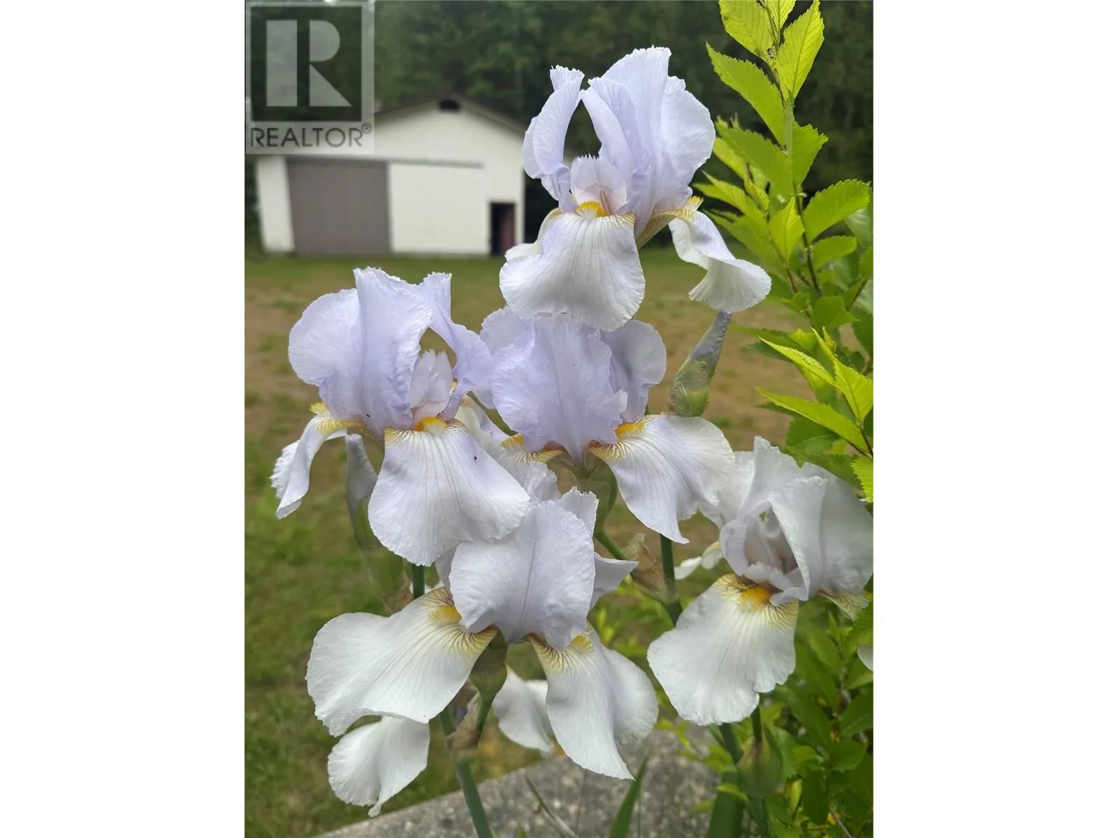 3151 Enderby Mabel Lake Road