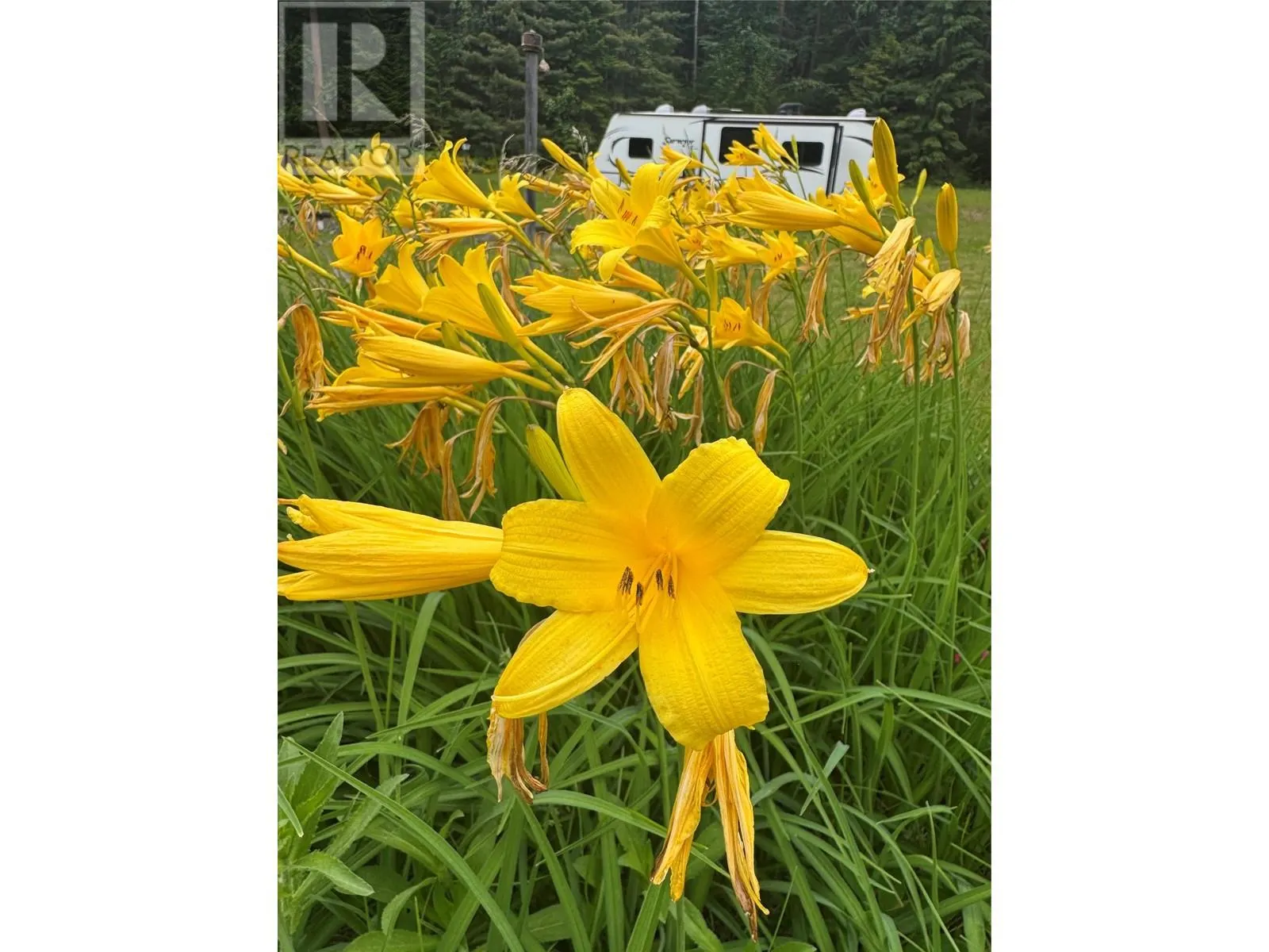 3151 Enderby Mabel Lake Road