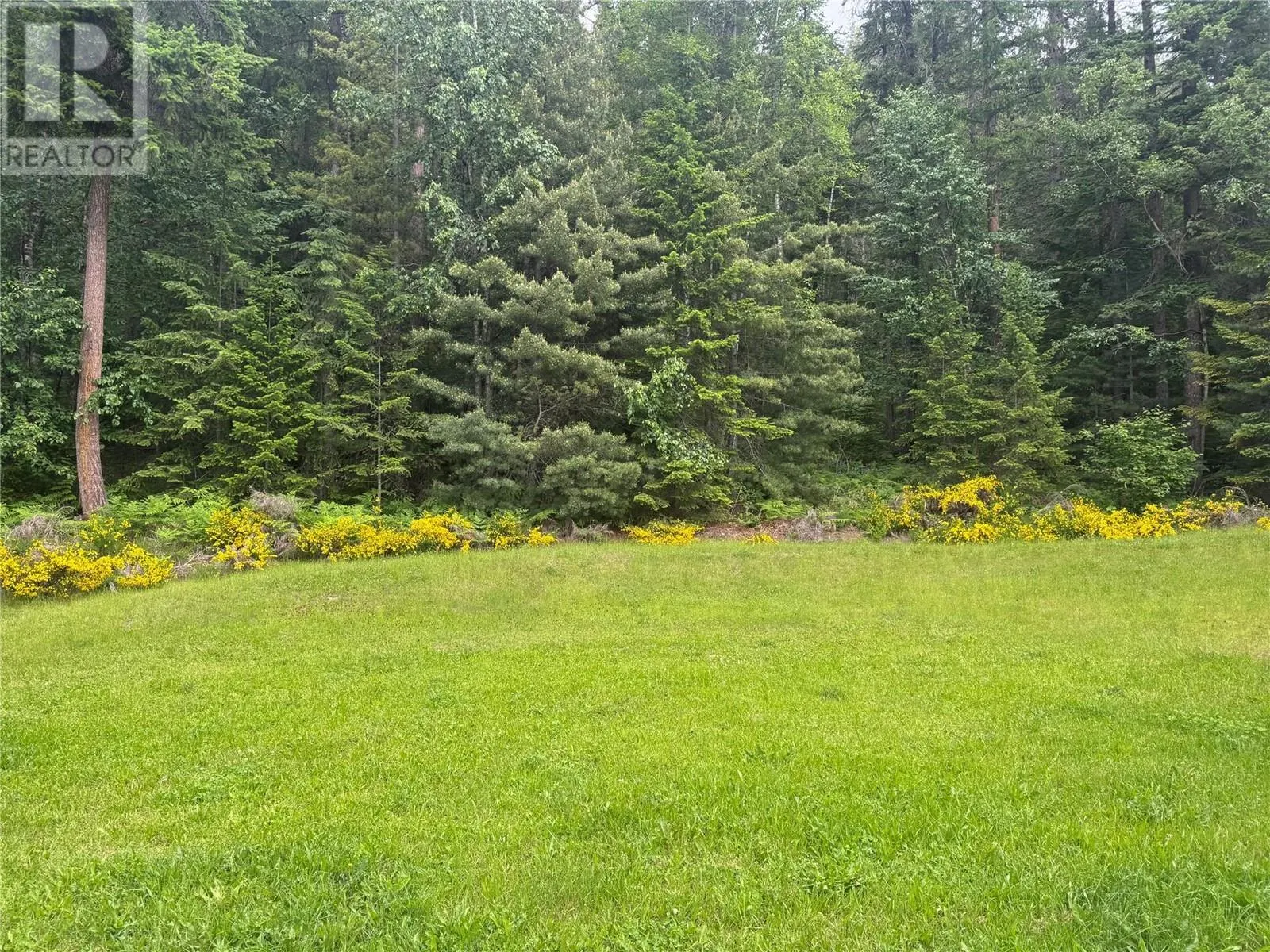 3151 Enderby Mabel Lake Road
