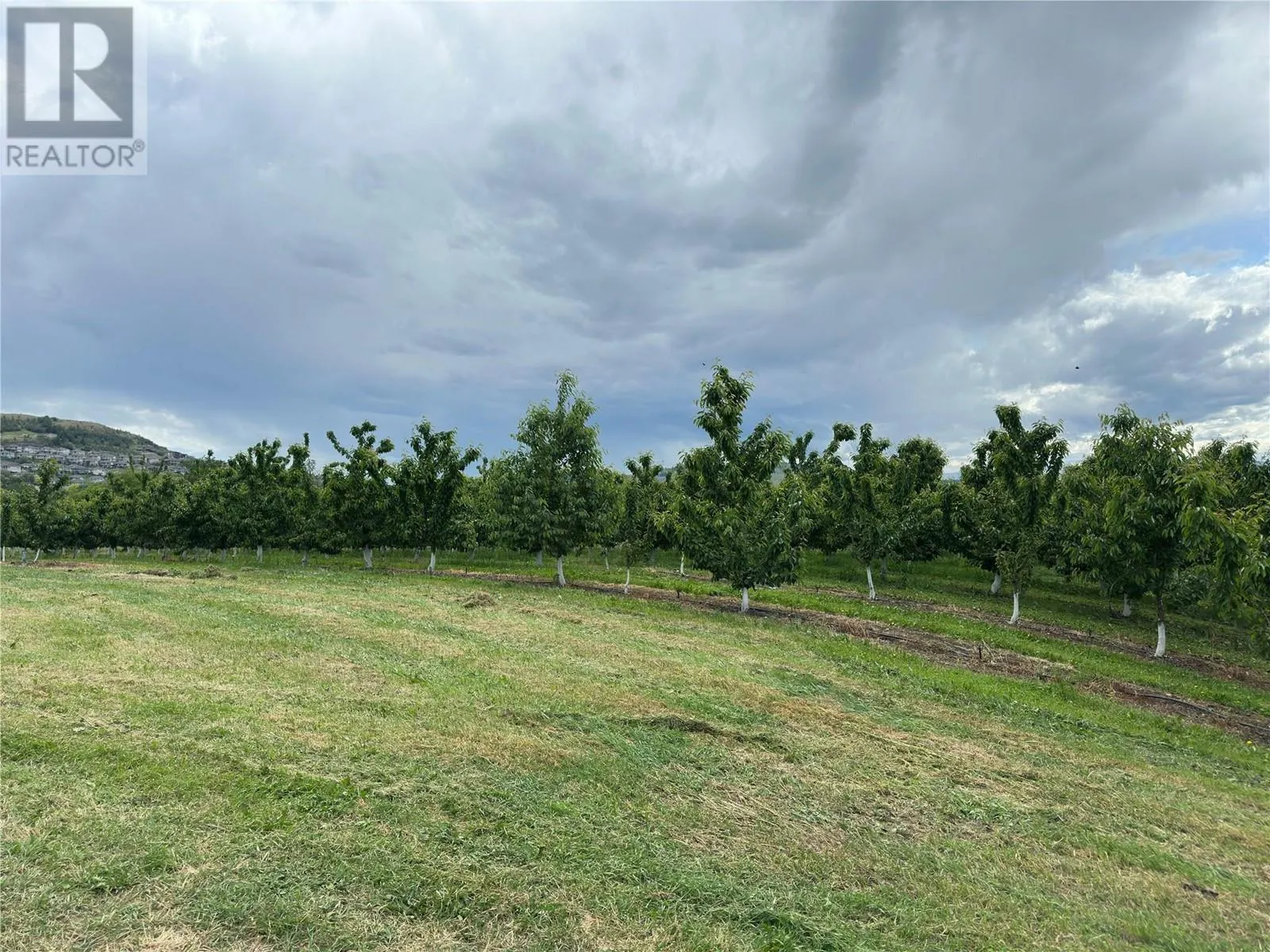 1102 Pottery Road