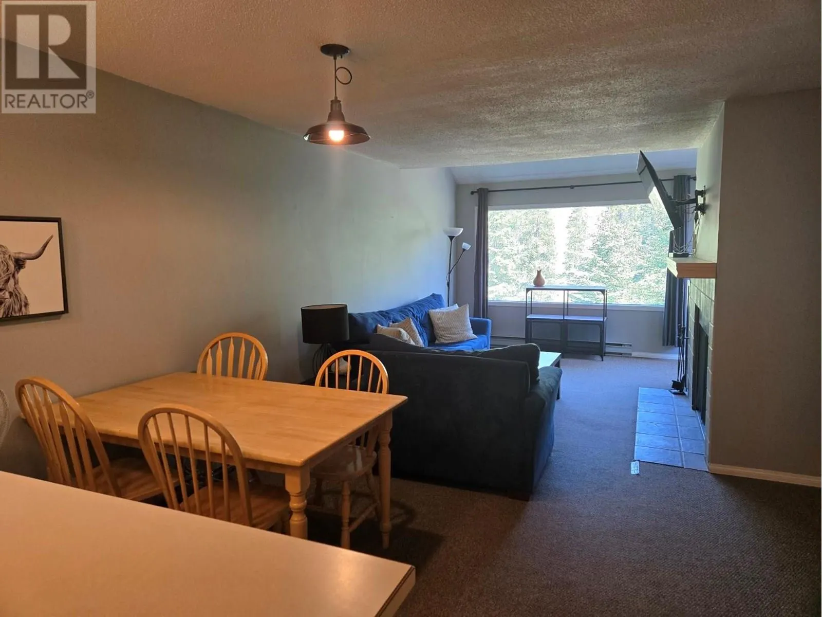 2035 Panorama Drive Unit# 217