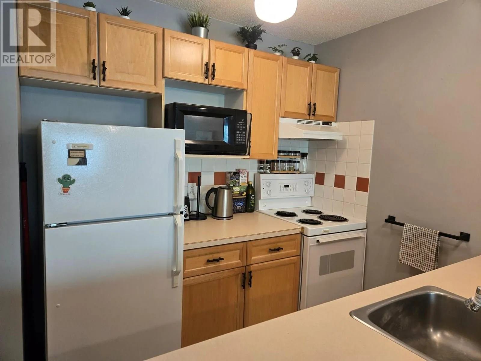 2035 Panorama Drive Unit# 217