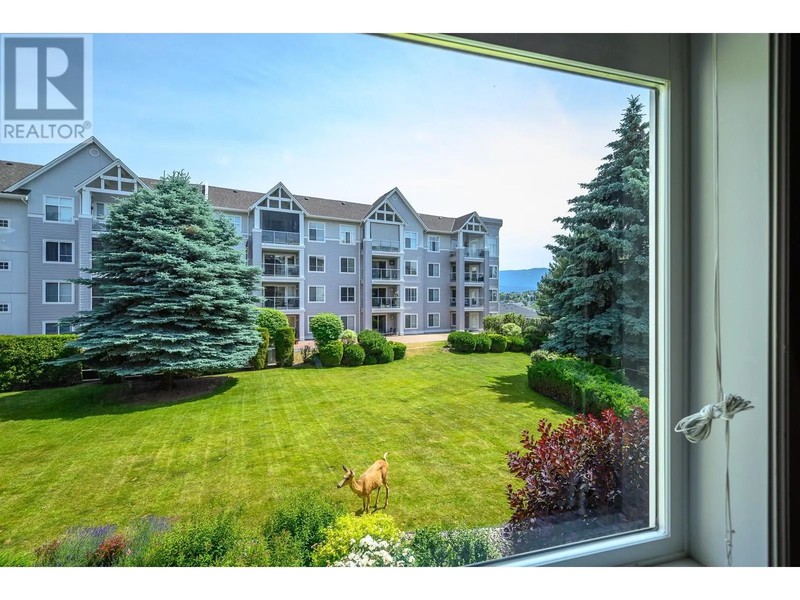 3300 Centennial Drive Unit# 213