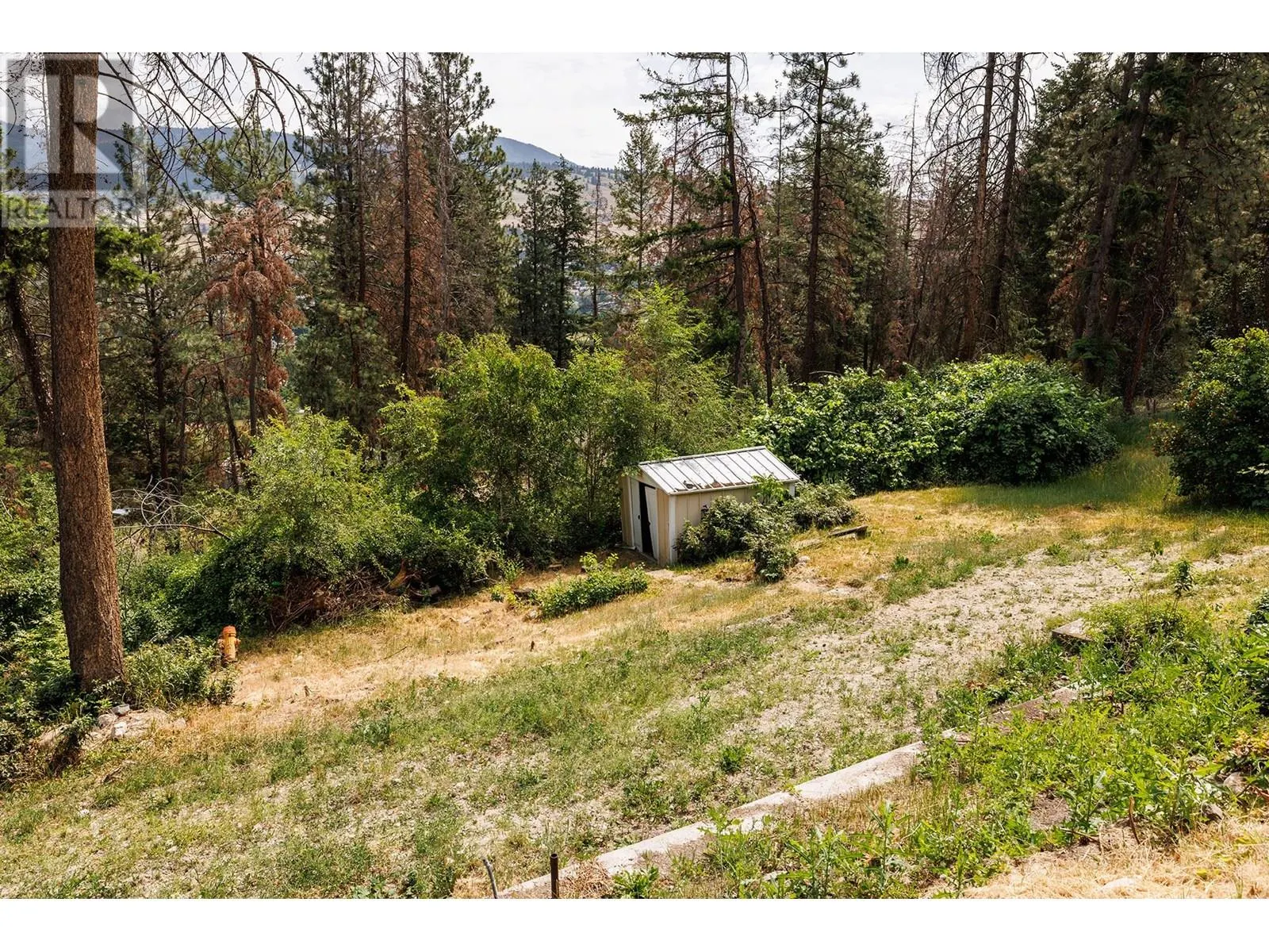 11175 Pretty Road