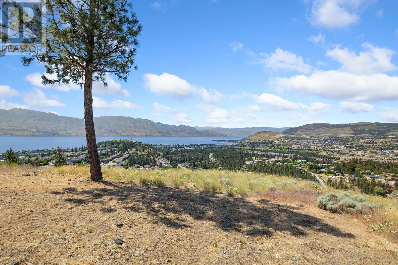 3321 Vineyard View Drive