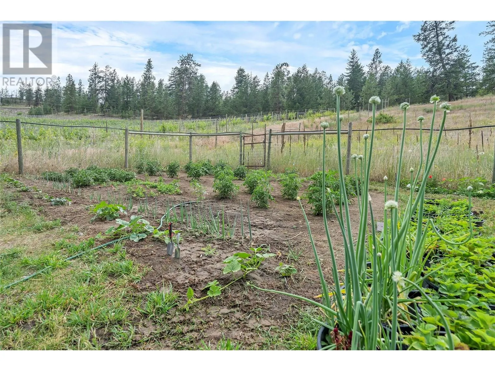 16109 Dale Meadows Road