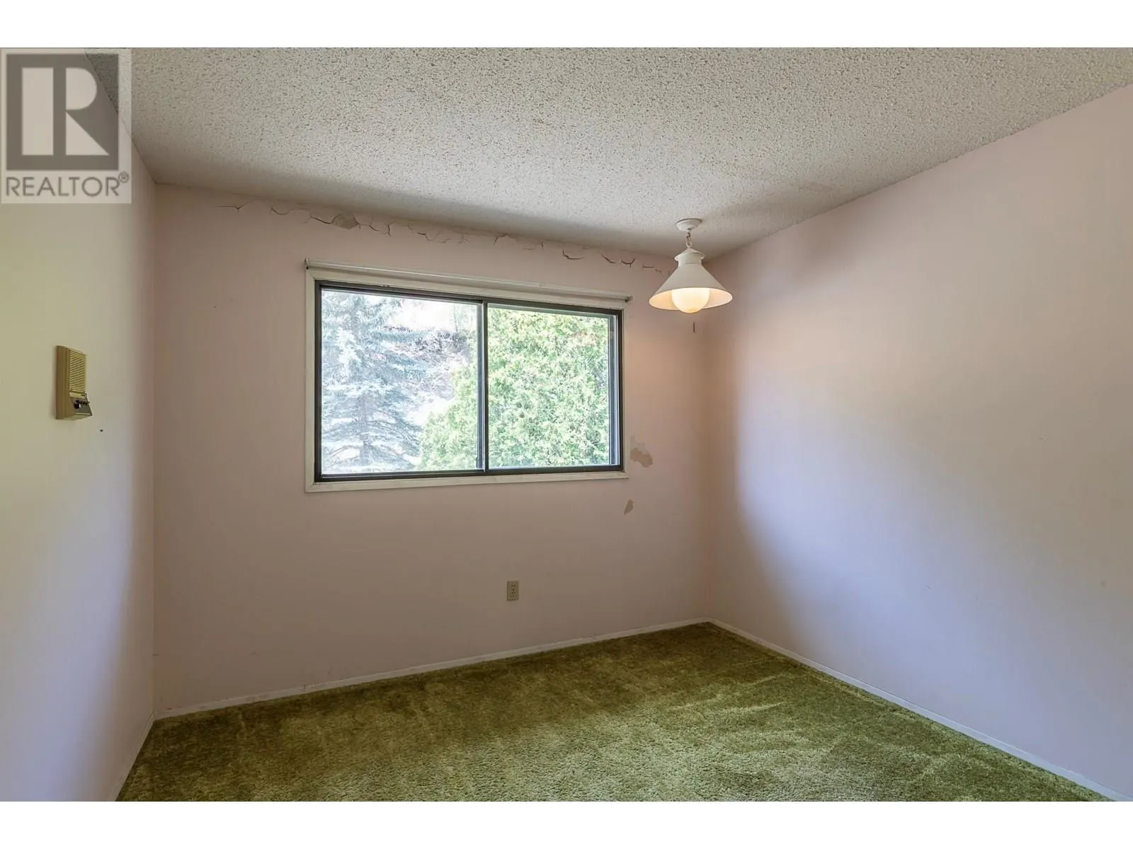 6602/6594 Goose Lake Road